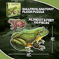 Vista 7 de Bullfrog - Rompecabezas de piso de anatomía animal Rompecabezas de 100 piezas de doble cara Ilustración científicamente precisa de rana de gran