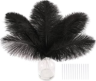SOGUGOM Black Craft Ostrich Feathers - 30PCS 6-8 inch Ostrich Feathers Kit for Centerpieces, Kindergarten Crafts, Dream Catchers and DIY Projects(Black)