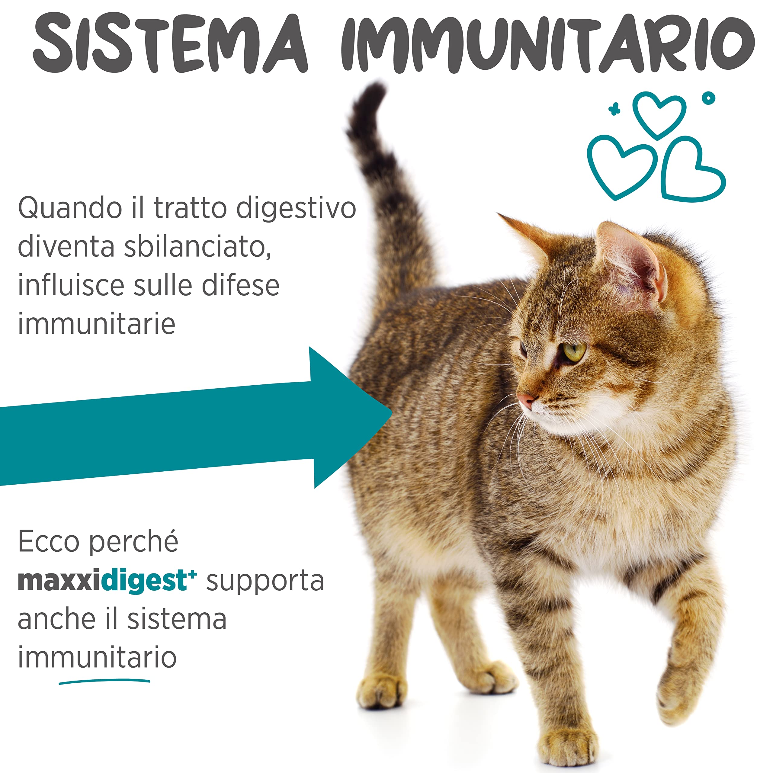 maxxipaws maxxidigest+ Prebiotici e Probiotici per Gatti - Integratore per l'Apparato Digerente e il Sistema Immunitario, 90g