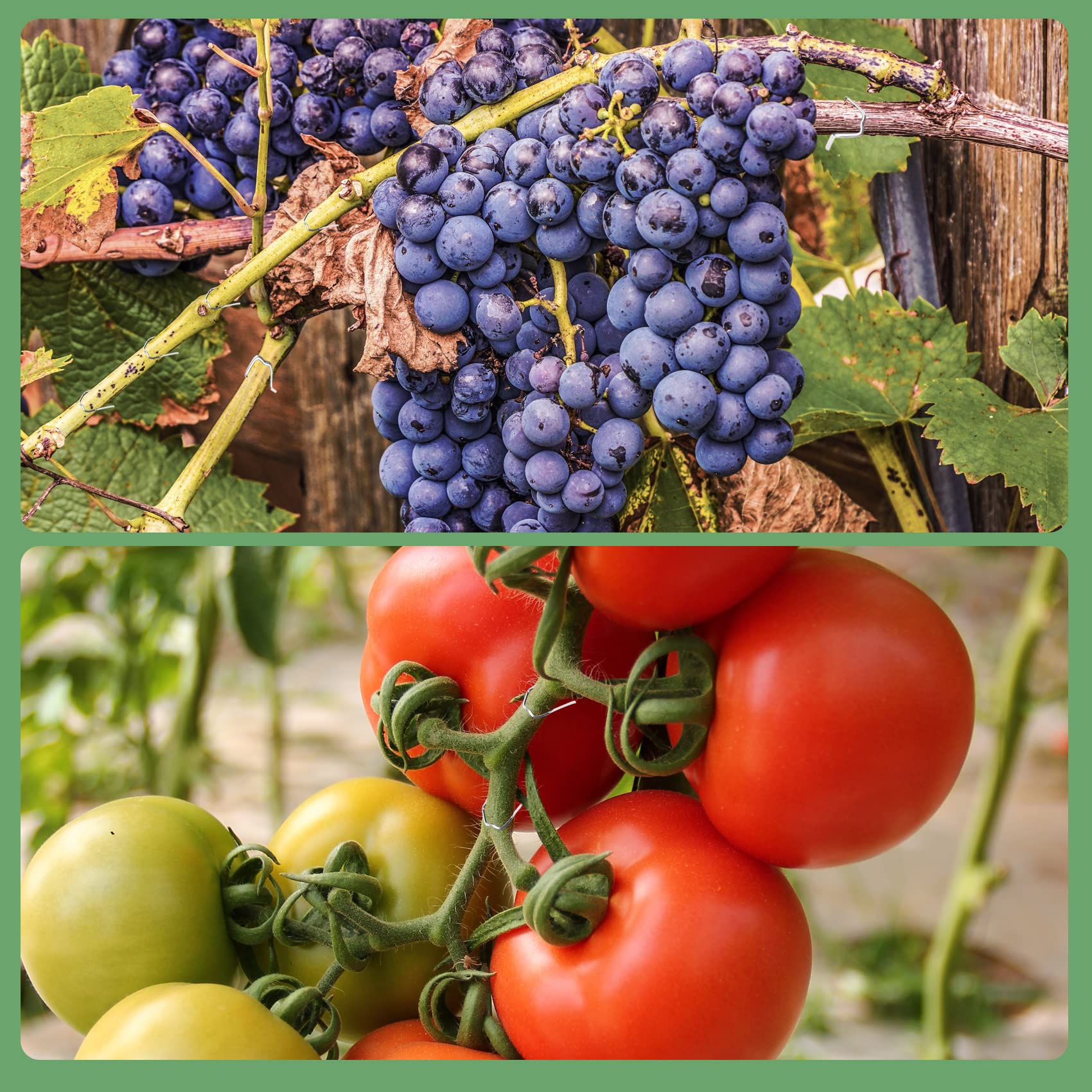 URROMA 200Pcs Épingles Florales Épingles De Jardin à Double