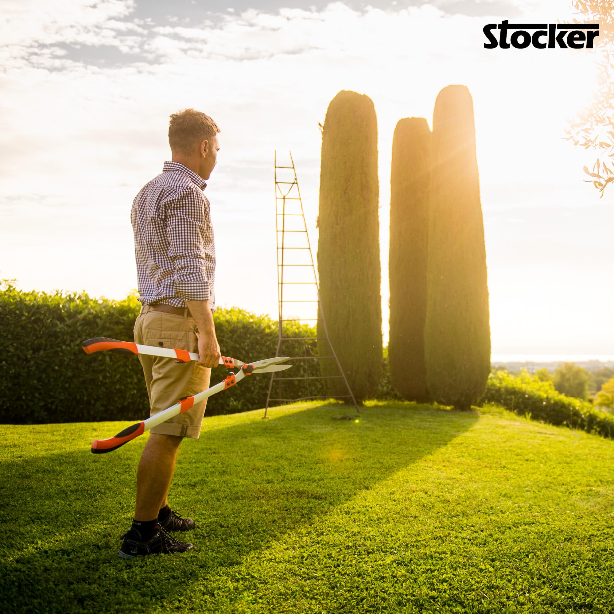 Image secondaire de Stocker – Cisaille à haie télescopique