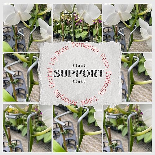 Miniatura 5 de Orchid Nerd Orquídea de alambre soporta 13 pulgadas, soporte de alambre de orquídea, paquete de 10