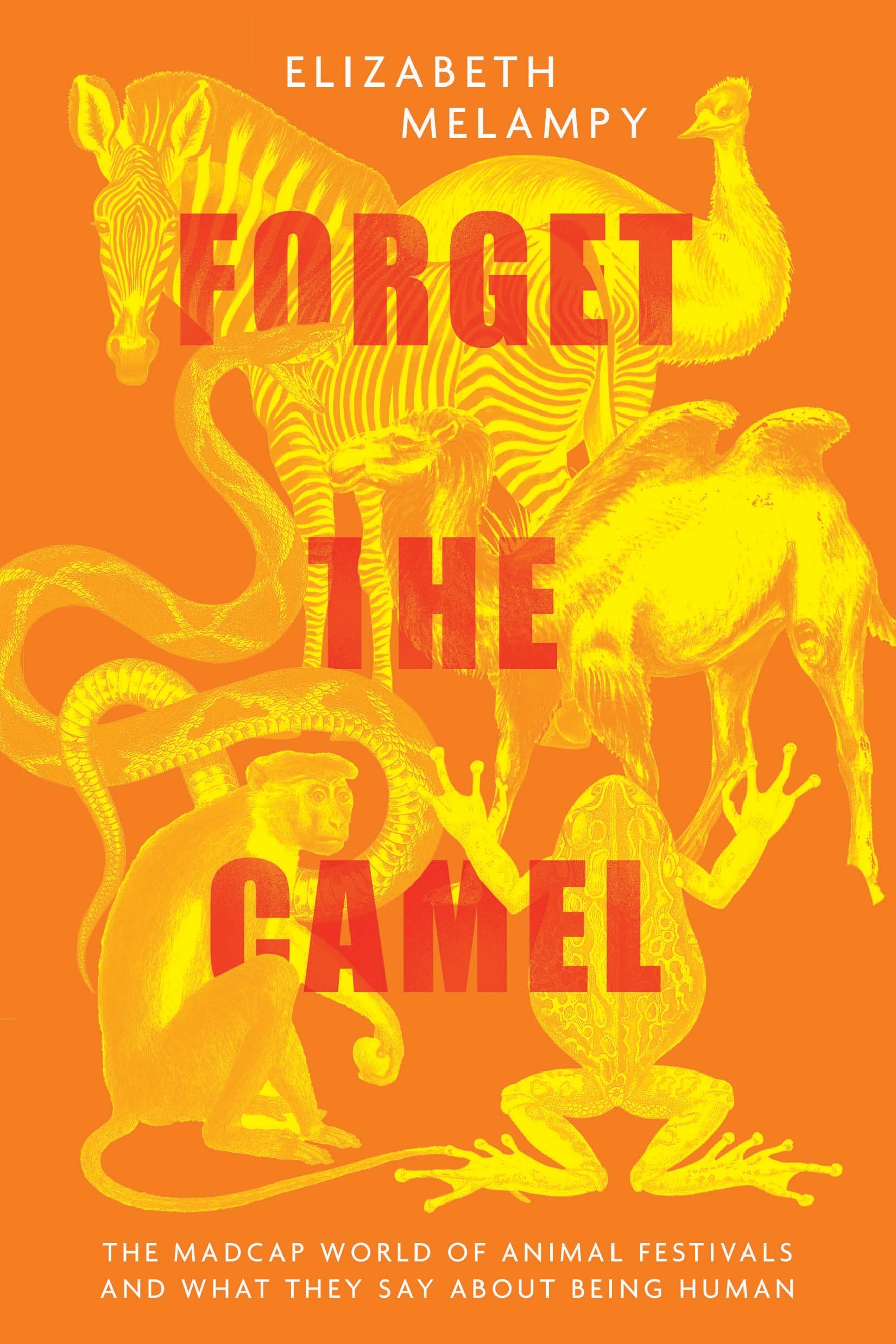 Forget the Camel: The Madcap World of Animal Festivals and What They Say About Being Human