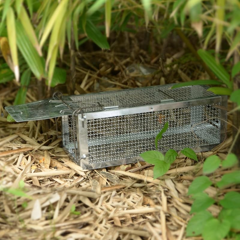 RatzFatz Professzionális XL Élvefogó Csapda 33×14,2×14,2 cm - Nagyérzékenységű Innovatív Egérfogó Patkányok, Egerek és Rágcsálók Befogására
- 1 piece.