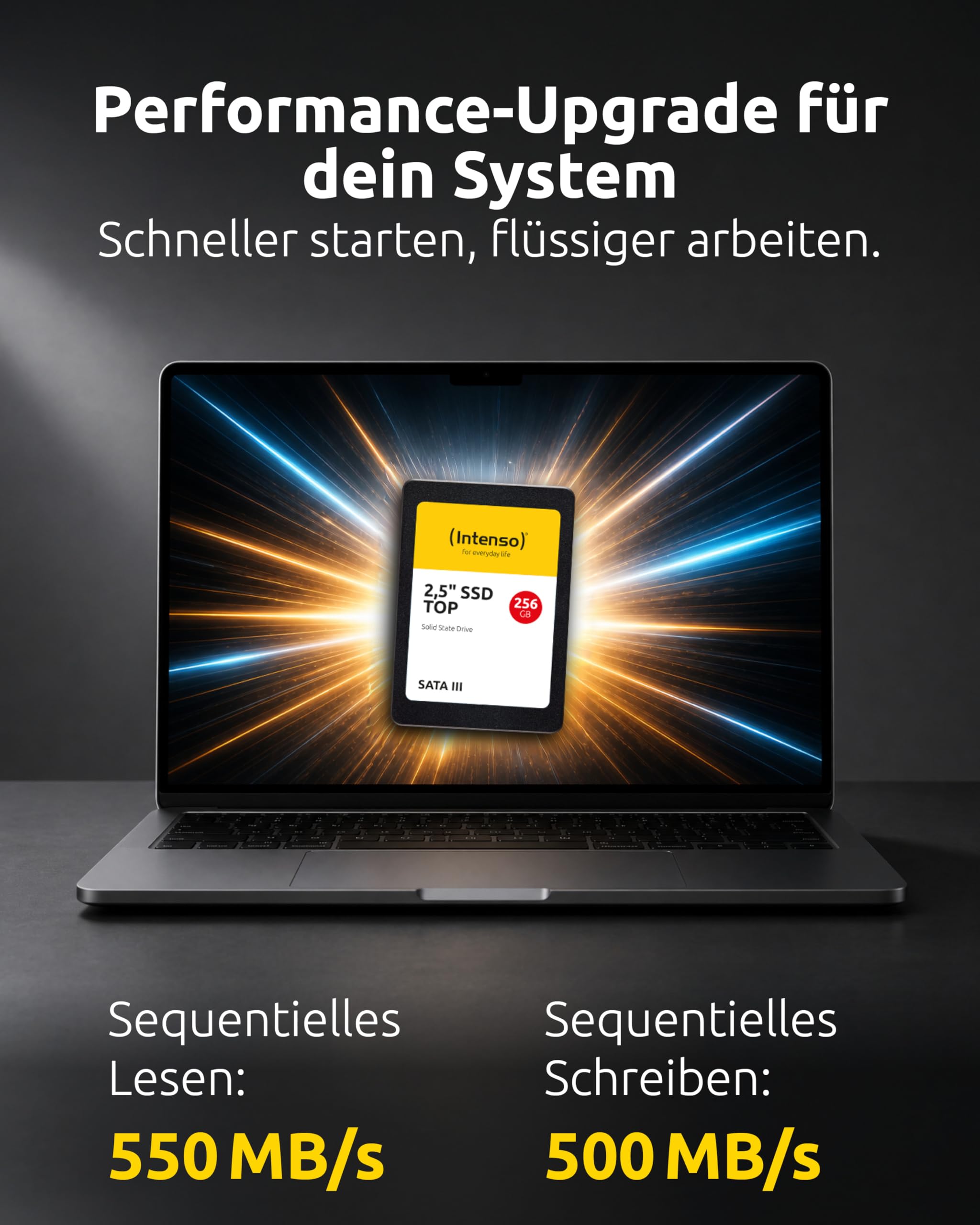 Intenso 2.5 Inch SSD SATA III 256 GB Top Performance
