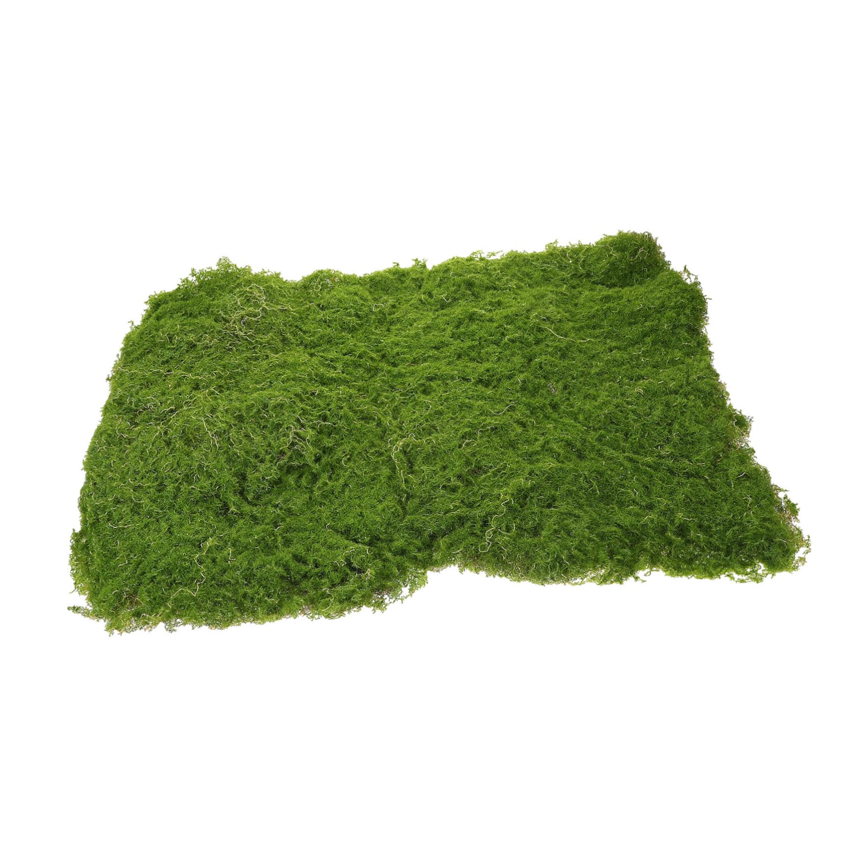 Totority Artificial Moss Fairy Garden Kit DIY Grass Mat Fake Turf Decor for Table Landscape Craft Fake Lawn Adorn