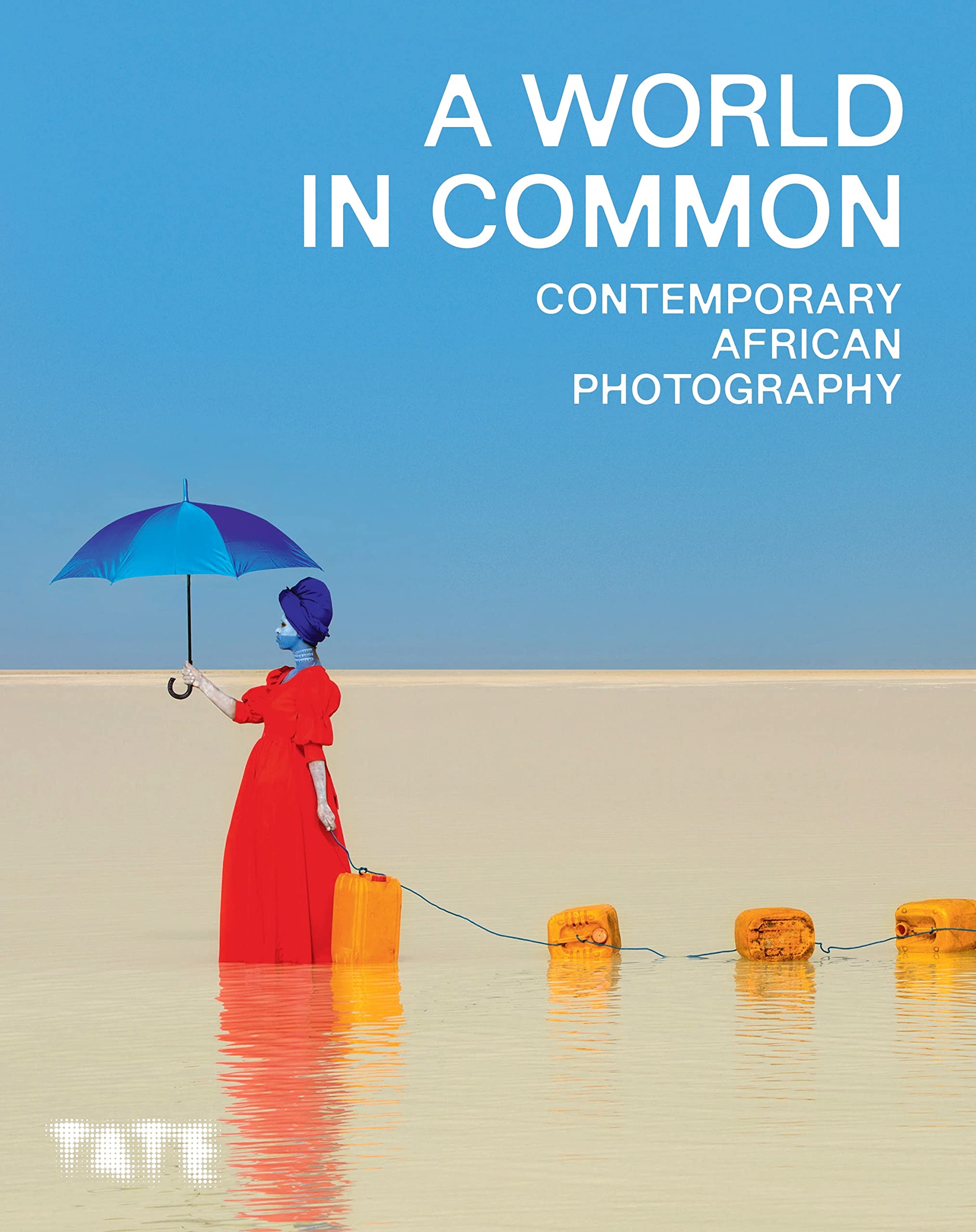 A World in Common by Osei Bonsu, Nomusa Makhabu, Jennifer Baj... - 9781849768511