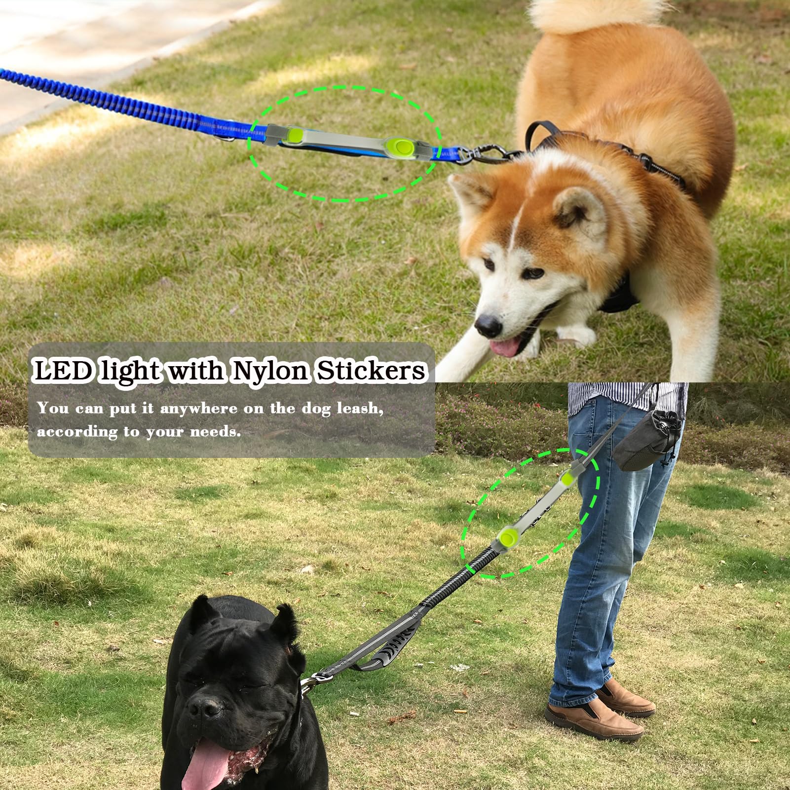 Juego de correa de perro resistente y luz LED, luz LED con calcomanías de nailon, accesorios universales brillantes fáciles de colocar, correa de collar y arnés, banda de seguridad con luz LED para