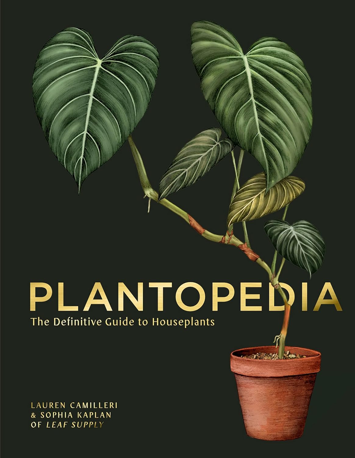 Plantopedia: The Definitive Guide to Houseplants