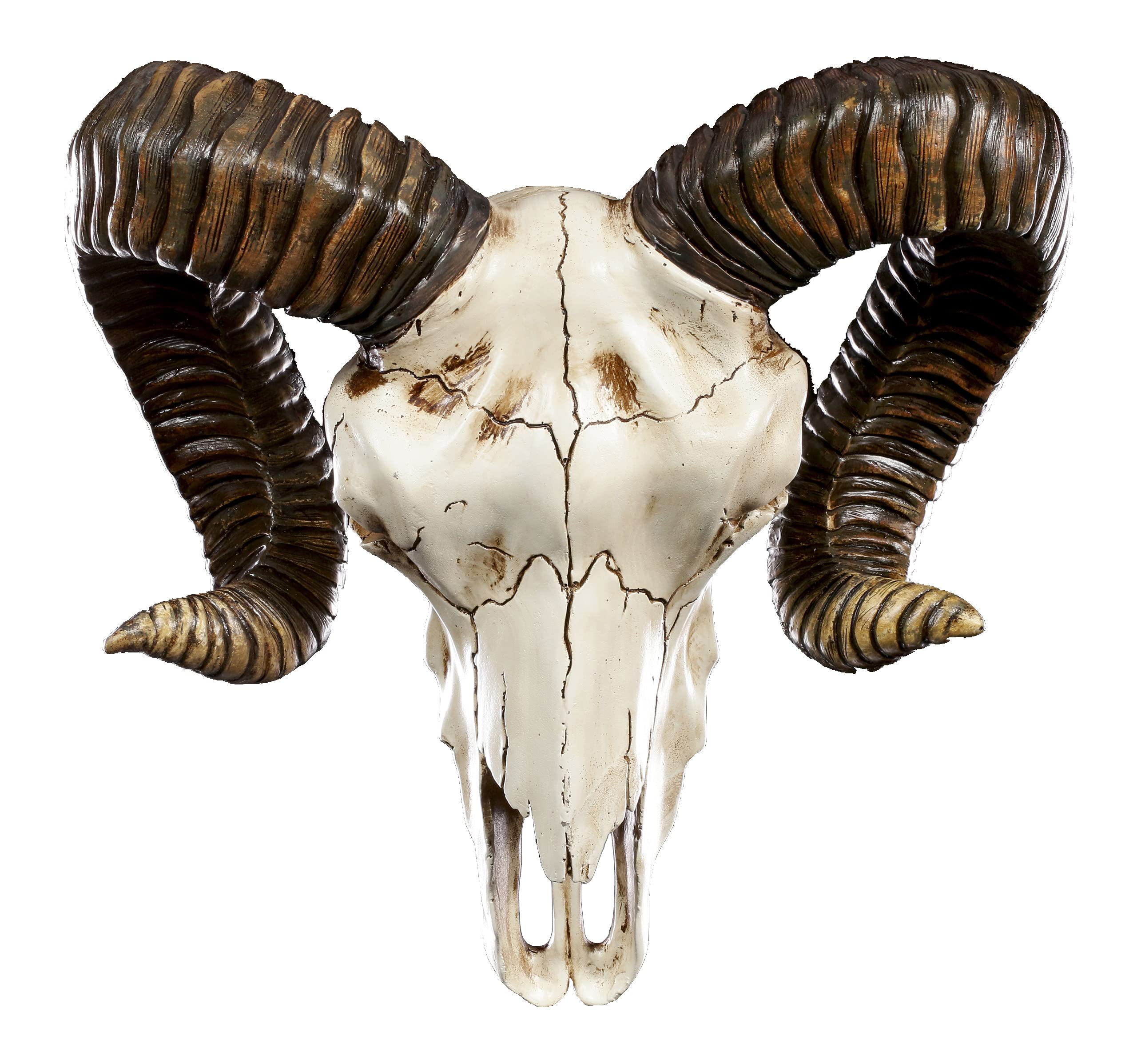 Pacific Giftware Ram Skull and Horns Baphomet Wall Trophy Decor 11 Inch