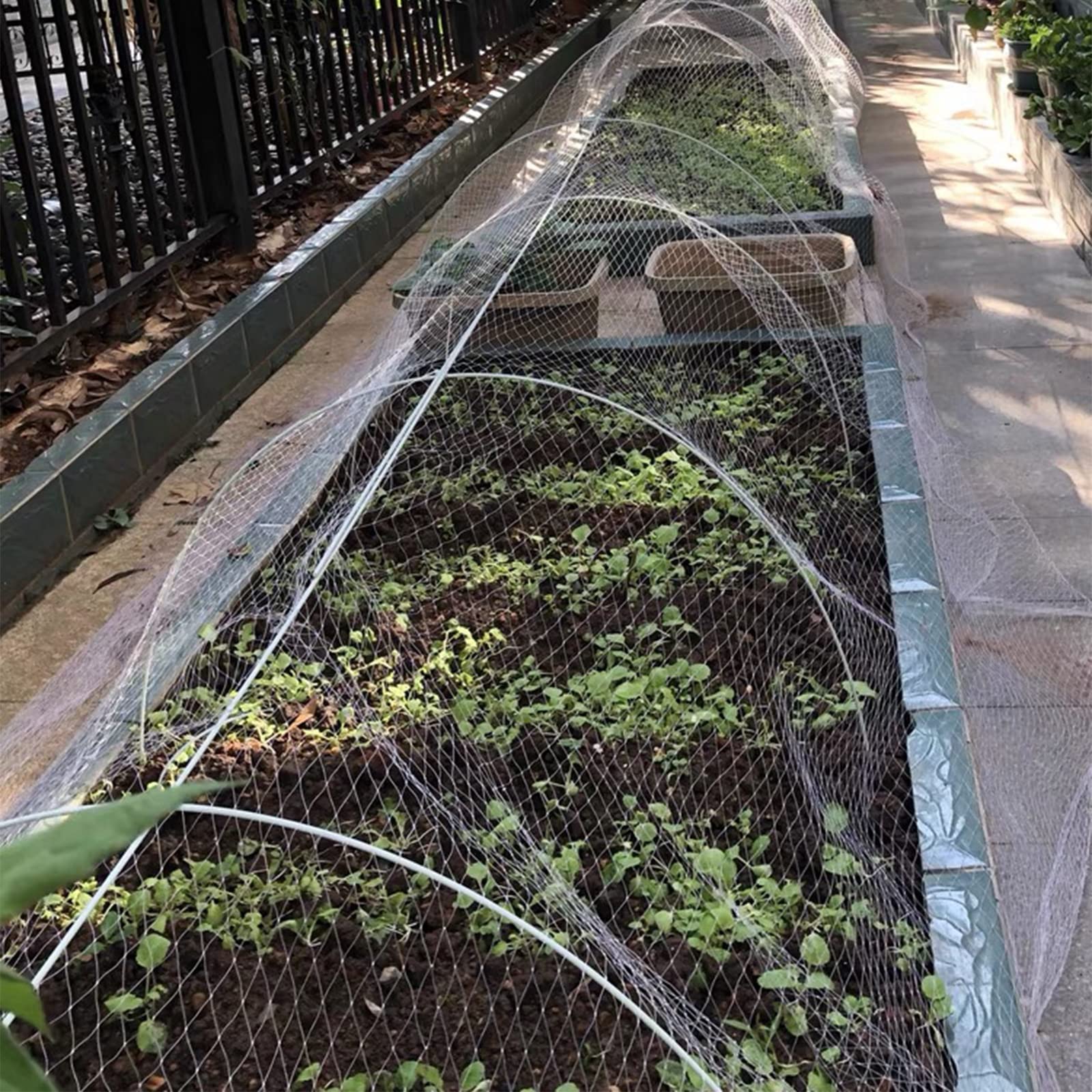 Chicken Wire Garden Hoop Choosing The Right Fencing For Your Chicken