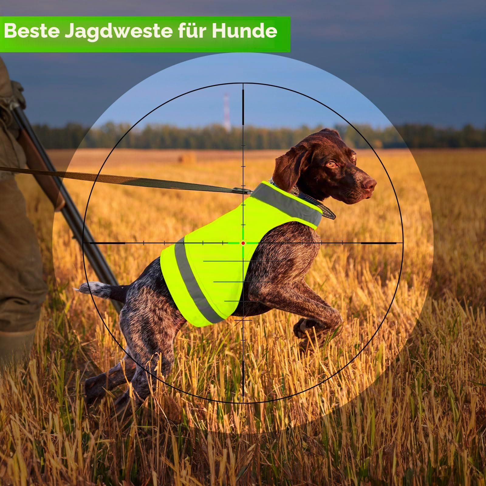 Sicherheitsweste für Hunde, fluoreszierende Jagdweste, reflektierender Hundemantel für nächtliche Spaziergänge, Jagd, Training, Joggen, 2er Pack, Orange, L