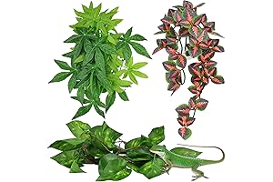 KATUMO Reptile Plants, Your Amphibian's Lush Hanging Oasis