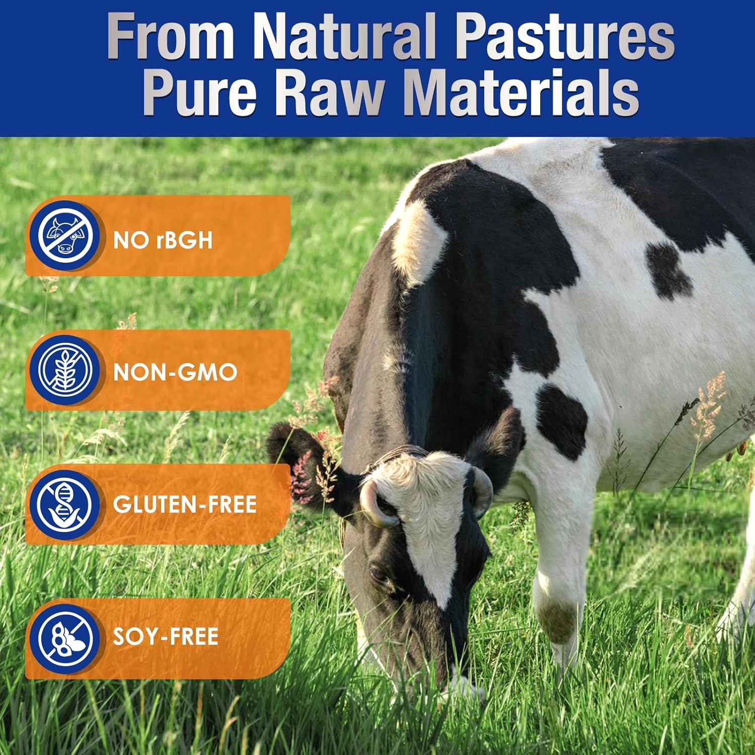 DRFOSTER Whey Protein Powder, Unflavored, 100% Whey Isolate, 26G Protein, 6G BCAAs, rBGH Free, Enhances Muscle Growth & Repair, 1.1LB, 16 Servings - Image 3