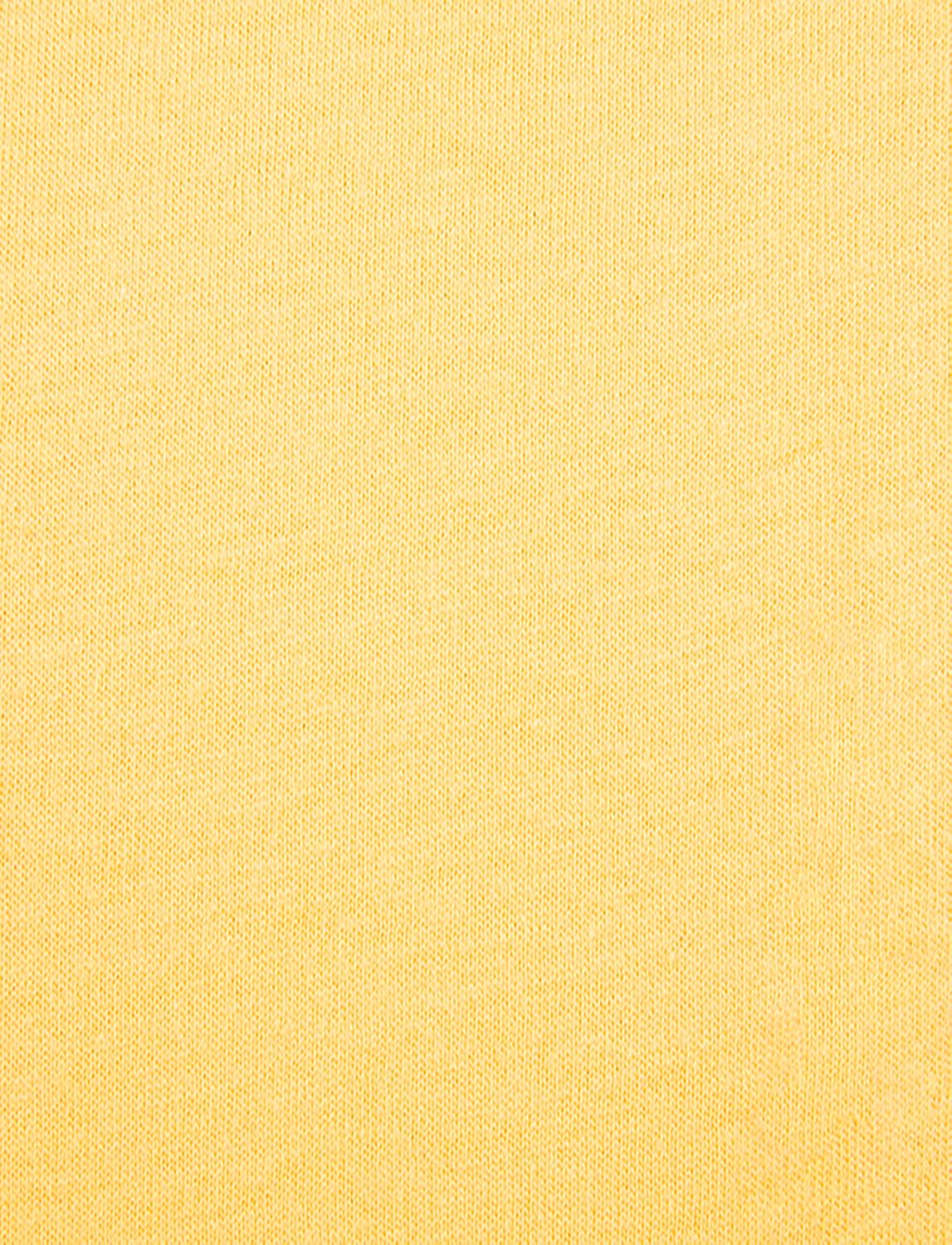 Next Level Apparel Men's N6210 X-Small Banana Cream