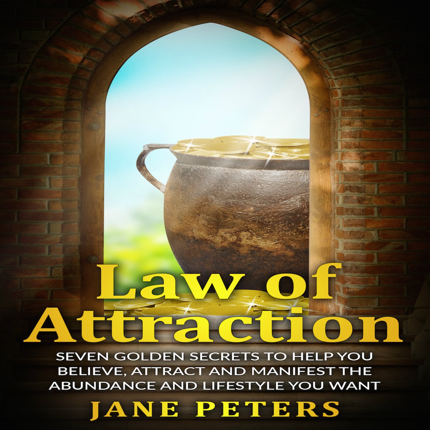 Cover art for Law of Attraction