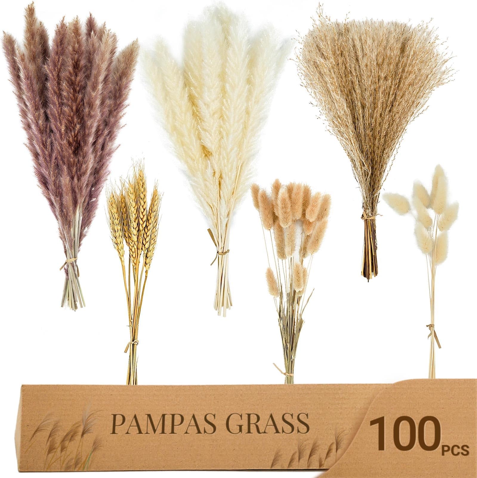 Beau Jour 100 Pcs Pampas Grass - Natural Pampas & Reed Grass & Bunny Tails & Dried Wheat for Dried Flowers Arrangements Home Decor