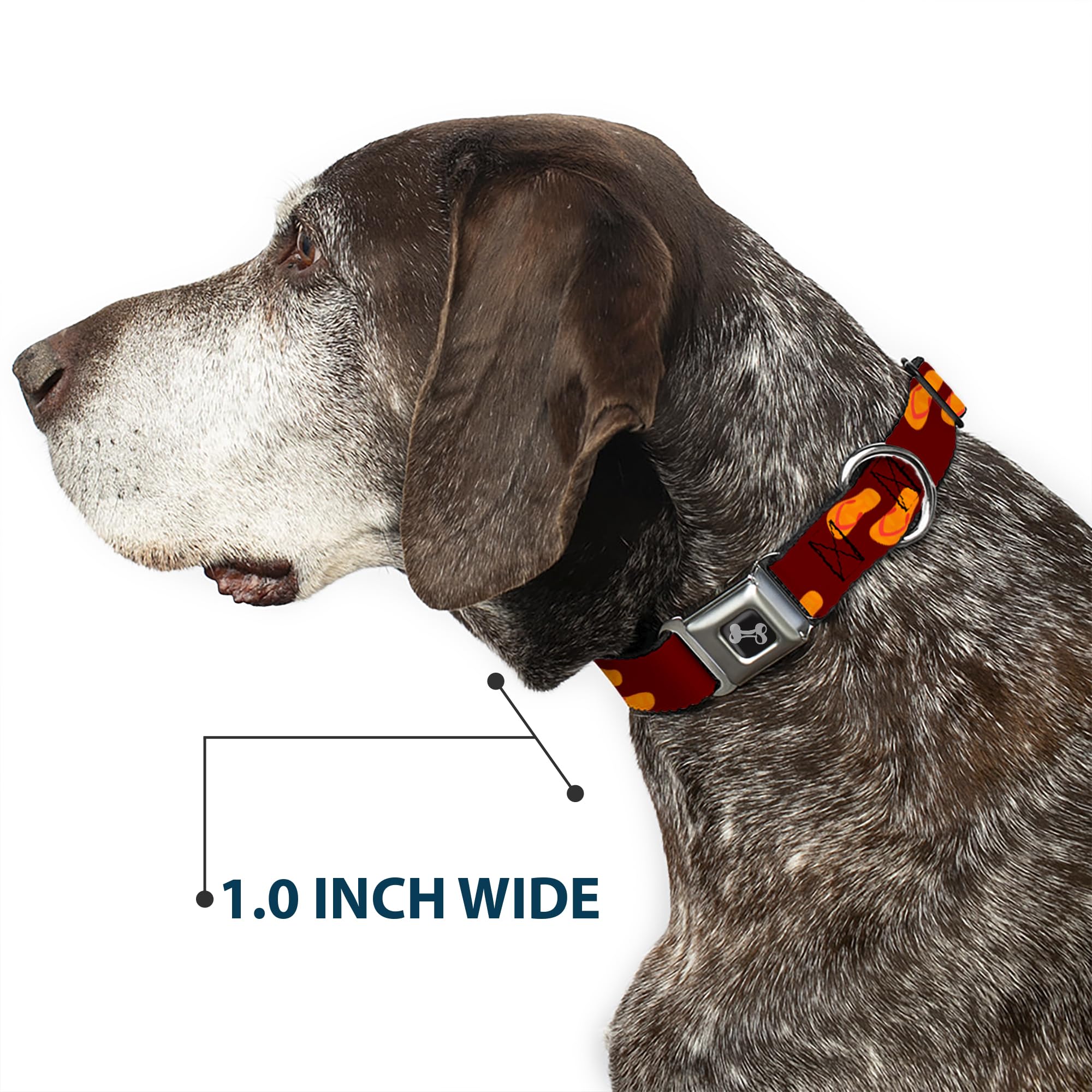 Buckle-down dc-w30636-wl Sicherheitsgurt für Hunde, groß, Flip-Flops, Orange