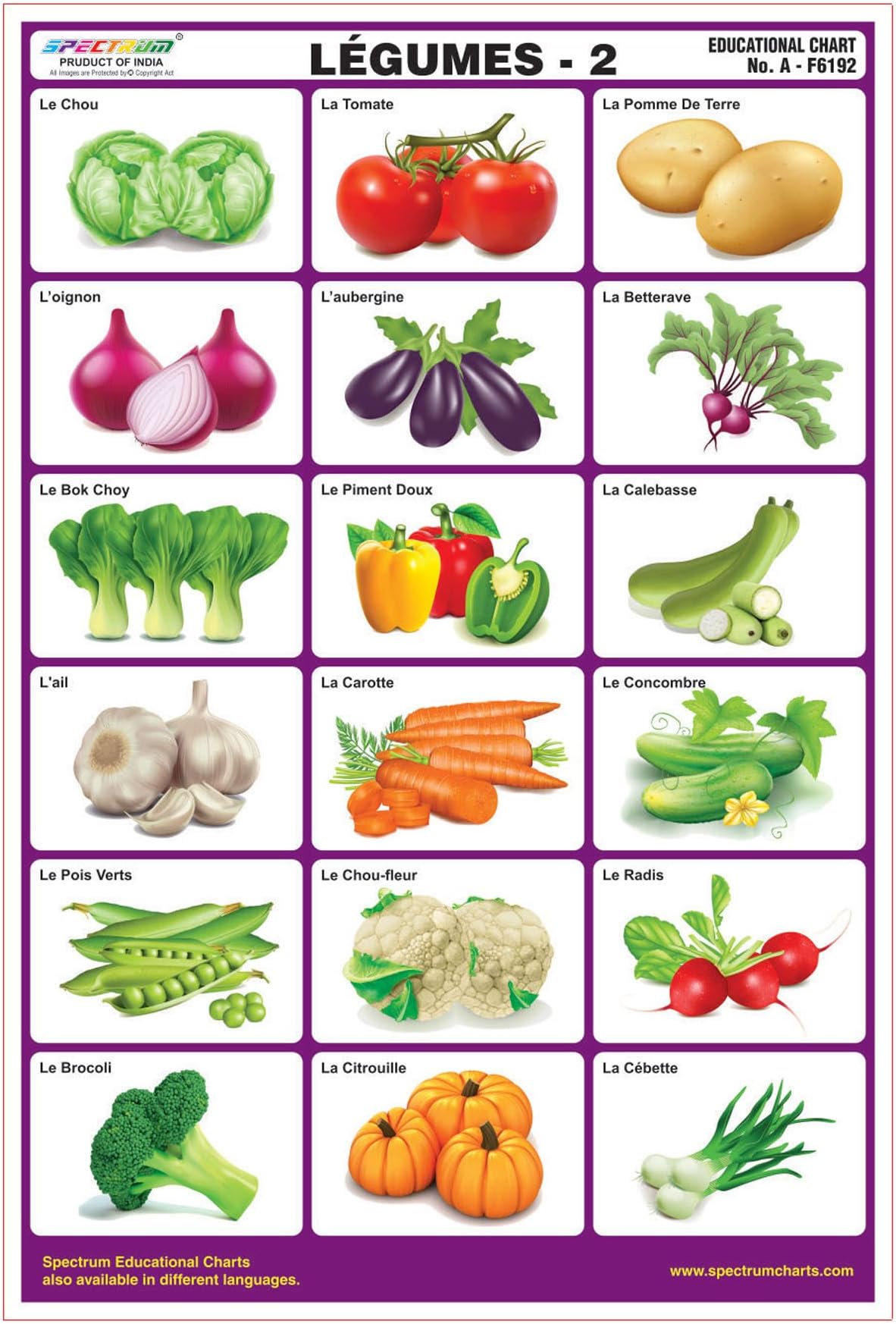 Spectrum French Language Vegetables-2 Laminated Wall Chart Educational Kids Learning