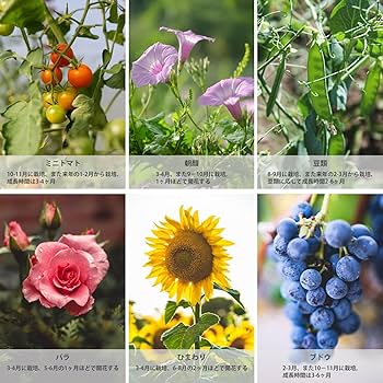 Amazon.co.jp: Worth 野菜プランター 小型 棚支柱つき 長方形