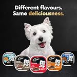 CESAR Home Delights Wet Dog Food - Beef Stew - 100g (24 Pack)