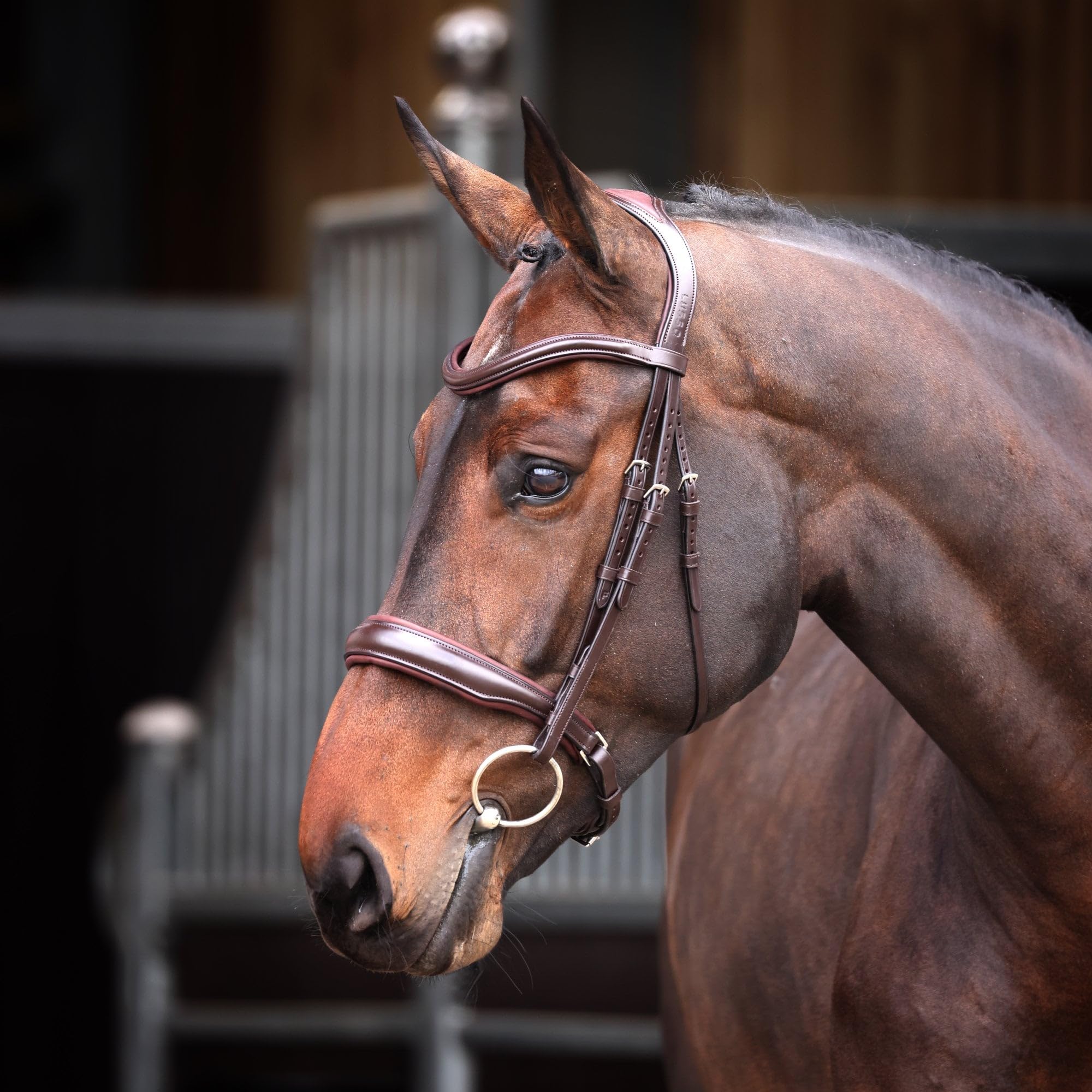 Shires Lusso Elite Padded Cavesson Bridle Extra Full Black โ image 1