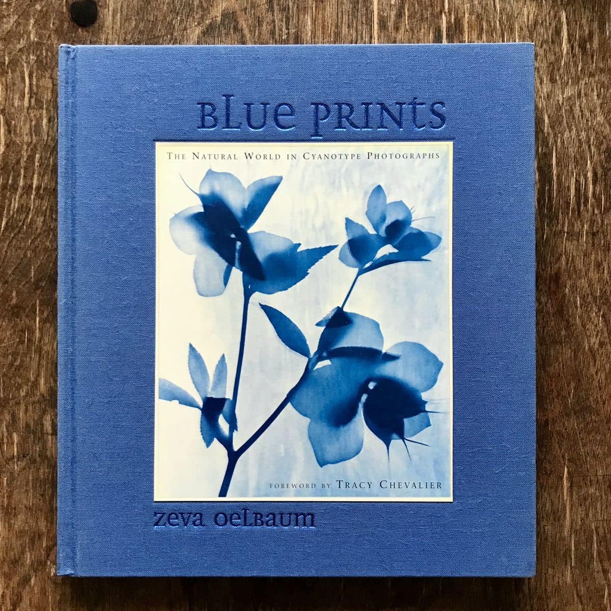 Amazon.co.jp BLUe pRINts zeva oeLBaum セヴァオエルバム サイアノタイプ 写真集 BLUE PRINTS