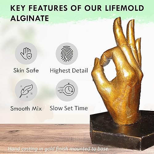 Miniatura 2 de LifeMold Alginato de 20 libras