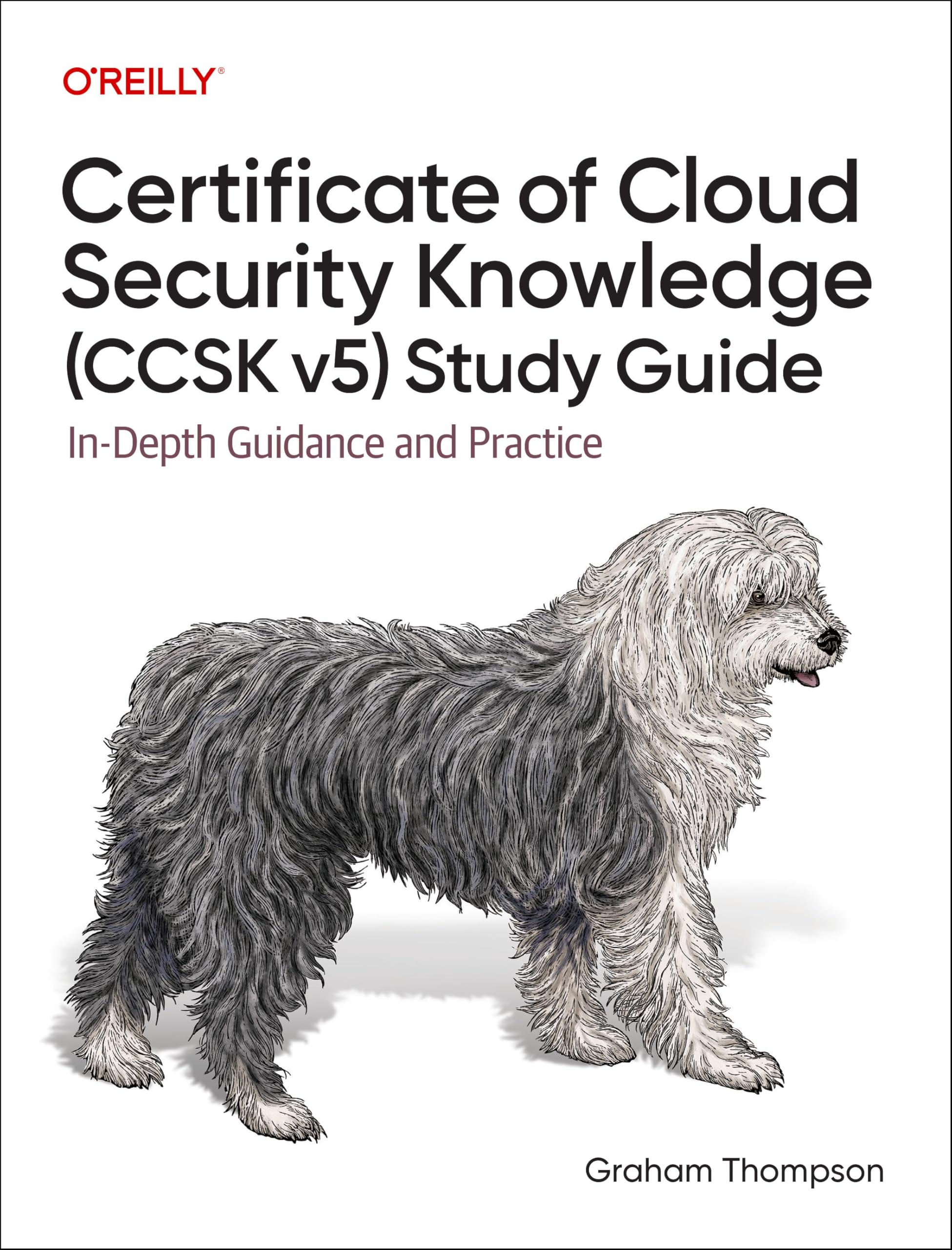 Certificate of Cloud Security Knowledge (CCSK v5) Official Study Guide: In-Depth Guidance and Practice