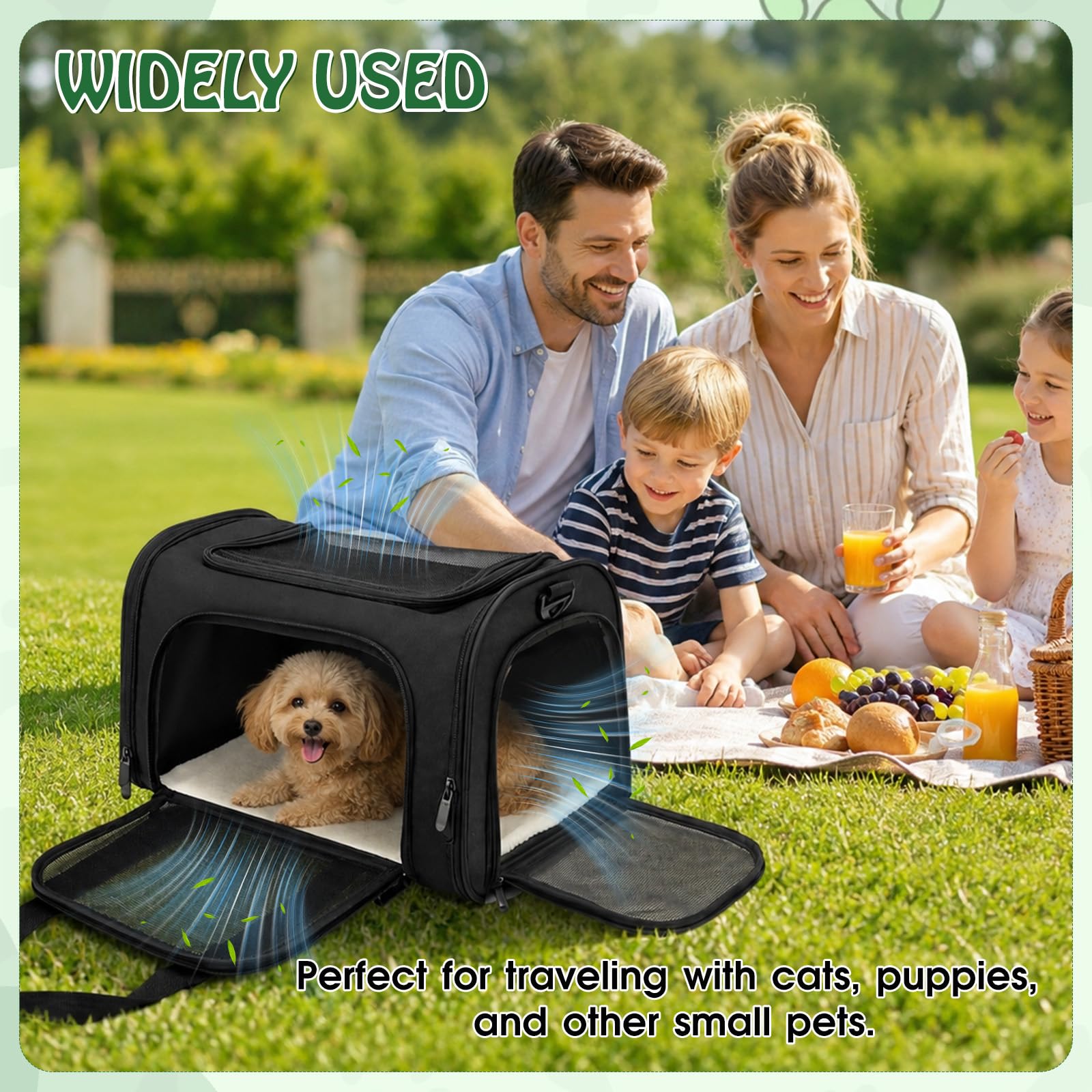 Transporttasche für Katze Hund Hundetransportbox Faltbare Katzentransportbox für Katzen und Welpen bis 5kg mit Schultergurt für Mittel Kleine Haustiere wie Kätzchen Welpen Kaninchen usw (Schwarz)
