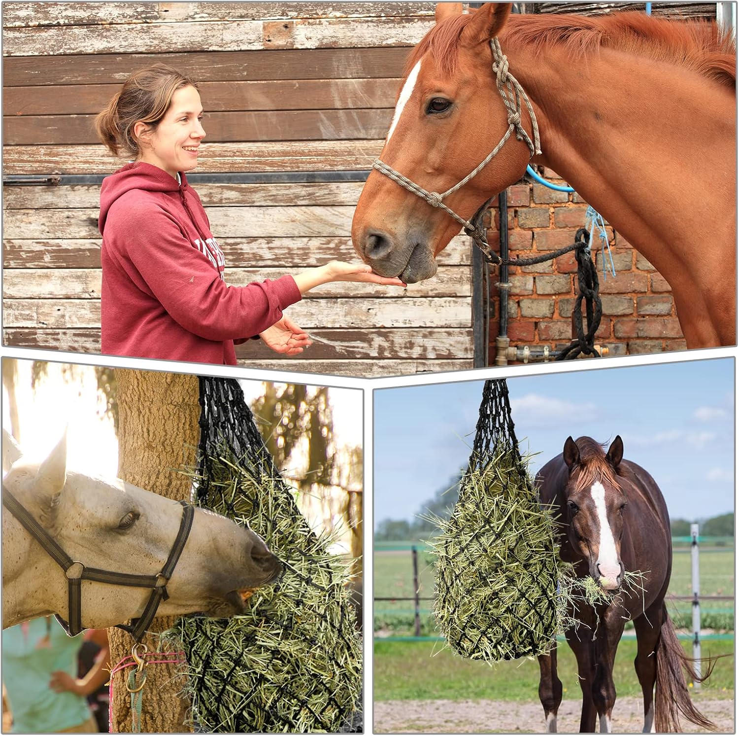 Woiworco 2 Pieces Hay Bags for Horses, Goat Hay Feeder, 36 inch Long 1.5 x 1.5 inch Adjustable Nylon Hanging Hay Nets for Horses, Horse Goat Supplies for Horses Trailer and Stall : Pet Supplies