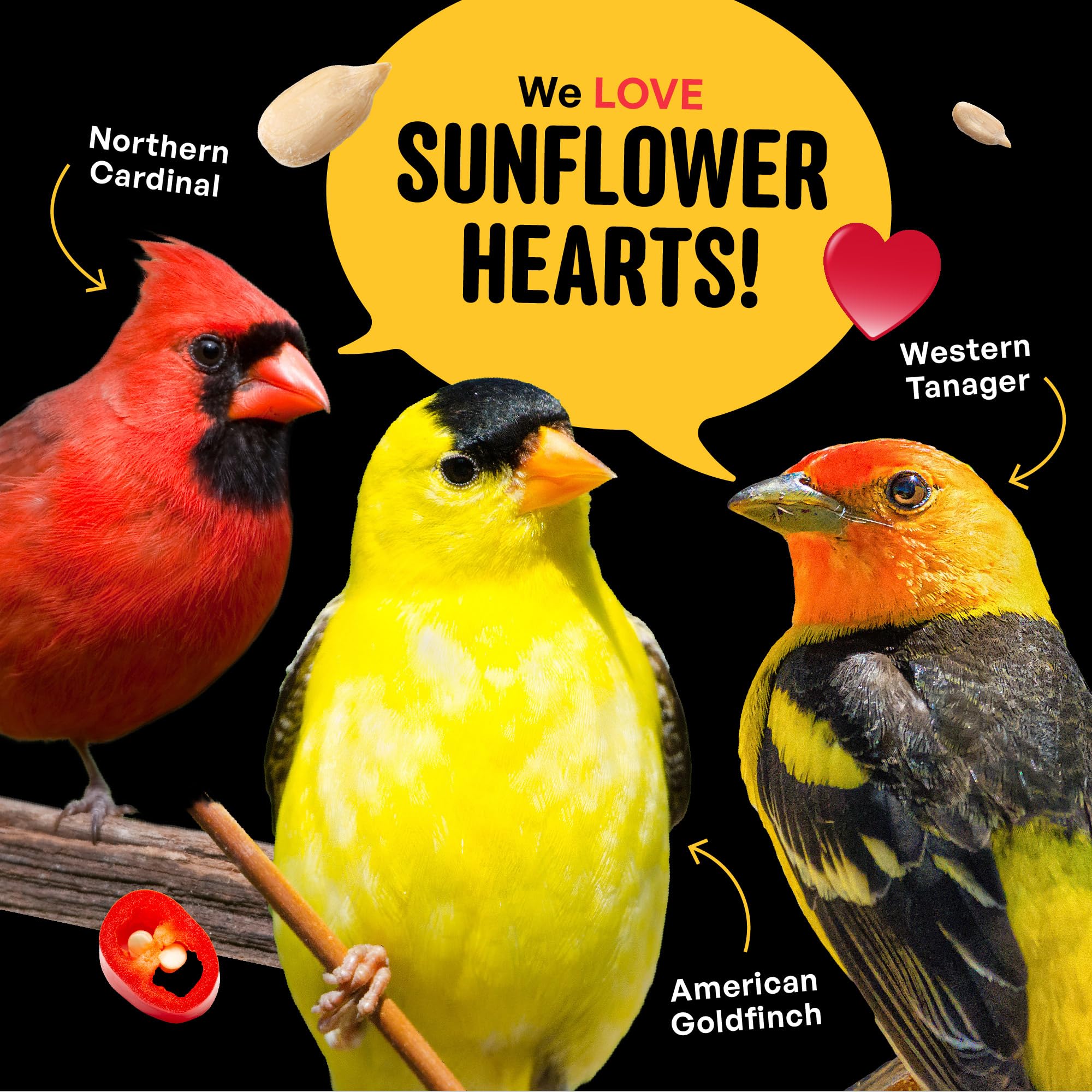 Cool Birds Hearts on Fire - Semilla de pájaro caliente, 10 libras, corazones de girasol 100% descascarados con aceite de chile, semillas de pájaros sin residuos para comederos exteriores