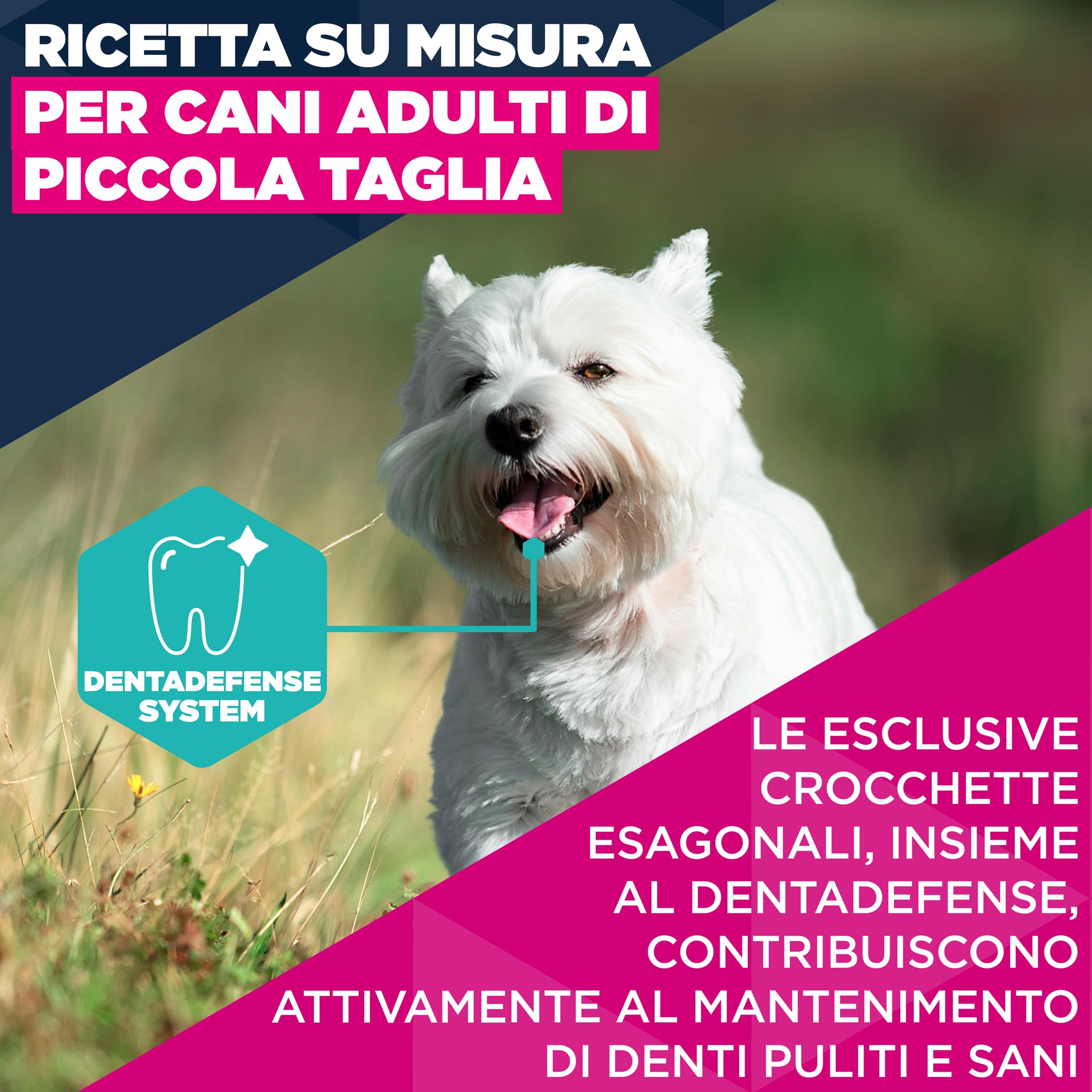 EUKANUBA Cibo secco per Cani con pollo fresco per razze di taglia piccola - Alimento secco premium per Cani adulti, 3 kg
