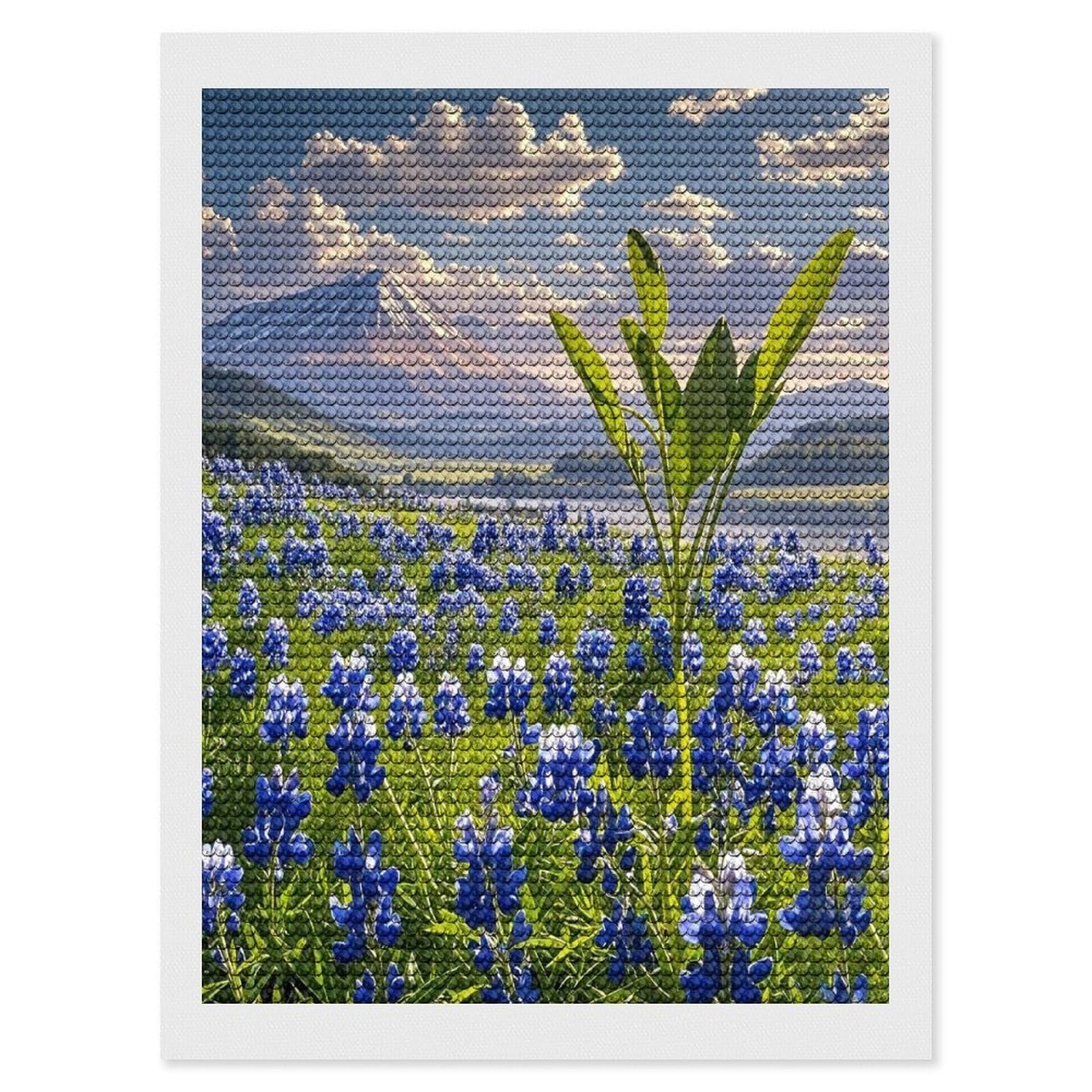 FekiLoot Bluebonnets Scenery Diamond Painting Kits for Adults Full Round Drill Diamond Art Kits for Beginners 5D DIY Diamond Dots Paintings Diamonds Pictures Gem Art Home Wall Decor 12"x16"