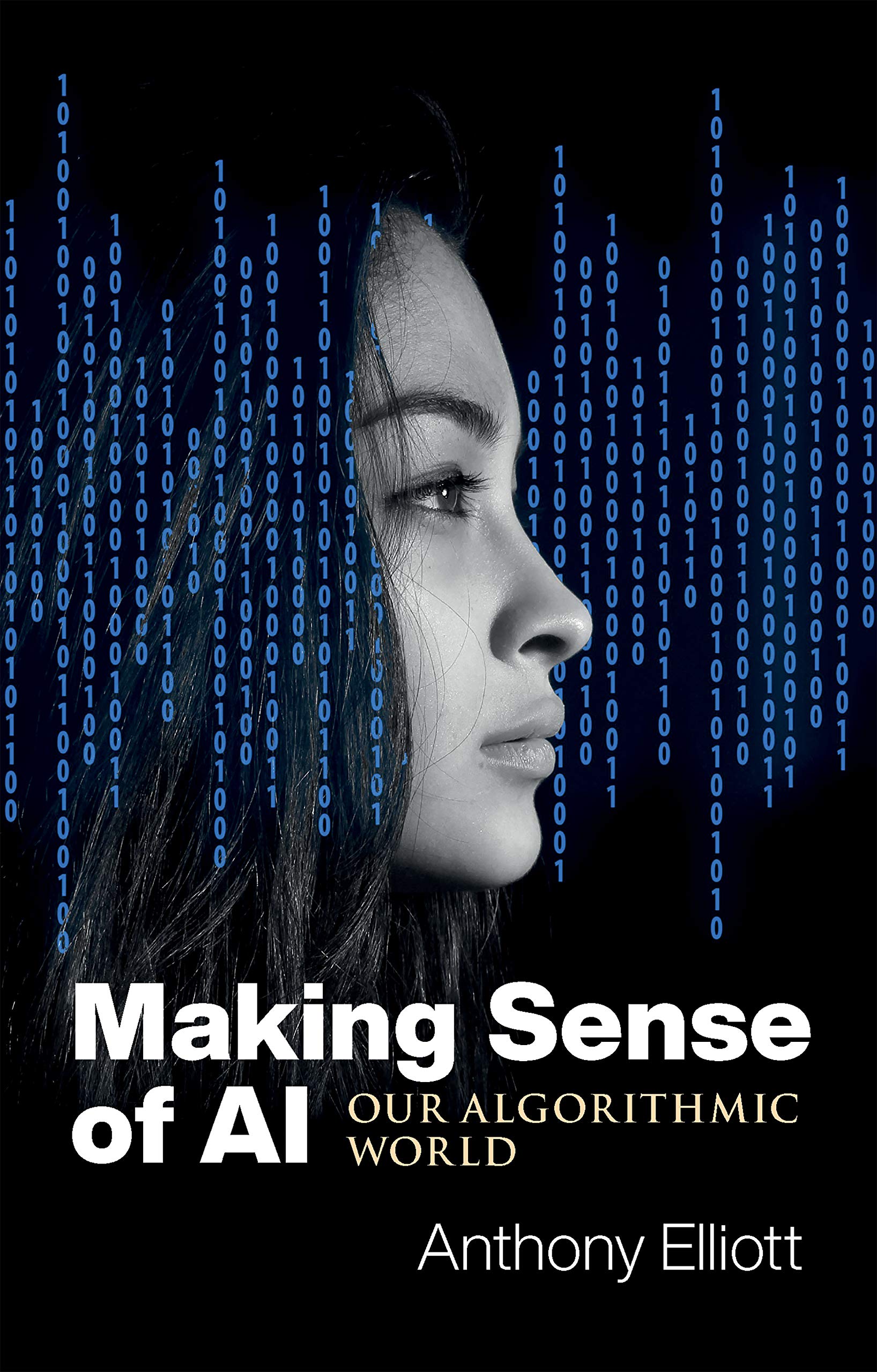 Making Sense of AI