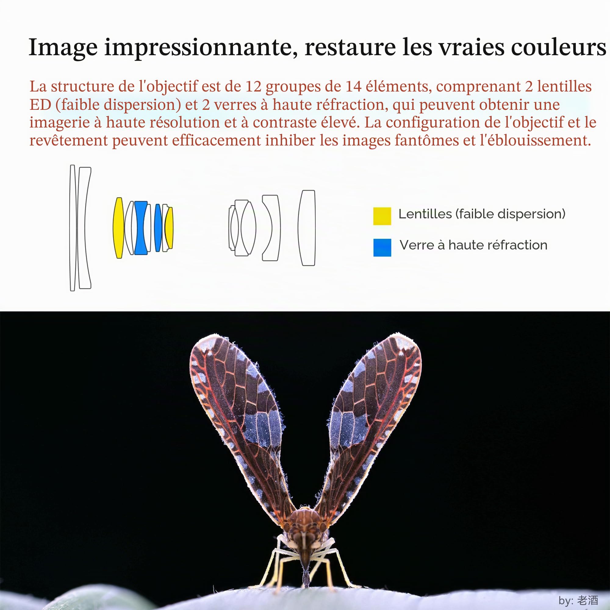 7artisans Objectif d'appareil photo sans miroir 60 mm F2.8 Macro 2X Mise au point manuelle plein cadre compatible avec les appareils photo Nikon Z-Mount Z5 Z6 Z6II Z7 Z7II Z9, etc.