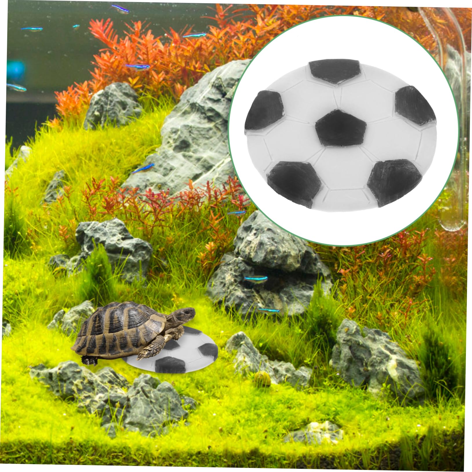 Levemolo Reptile Basking Rock Turtle Tank Platform Tortoise Feeding Plate Basking Area for Reptiles