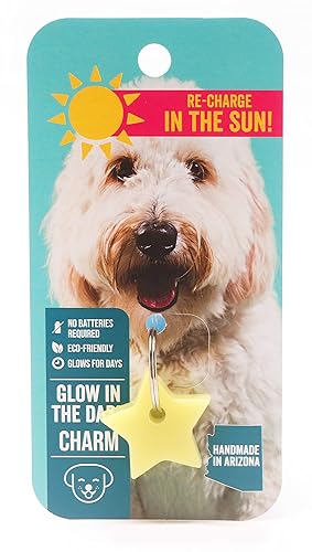 Star - light glowing dog charm