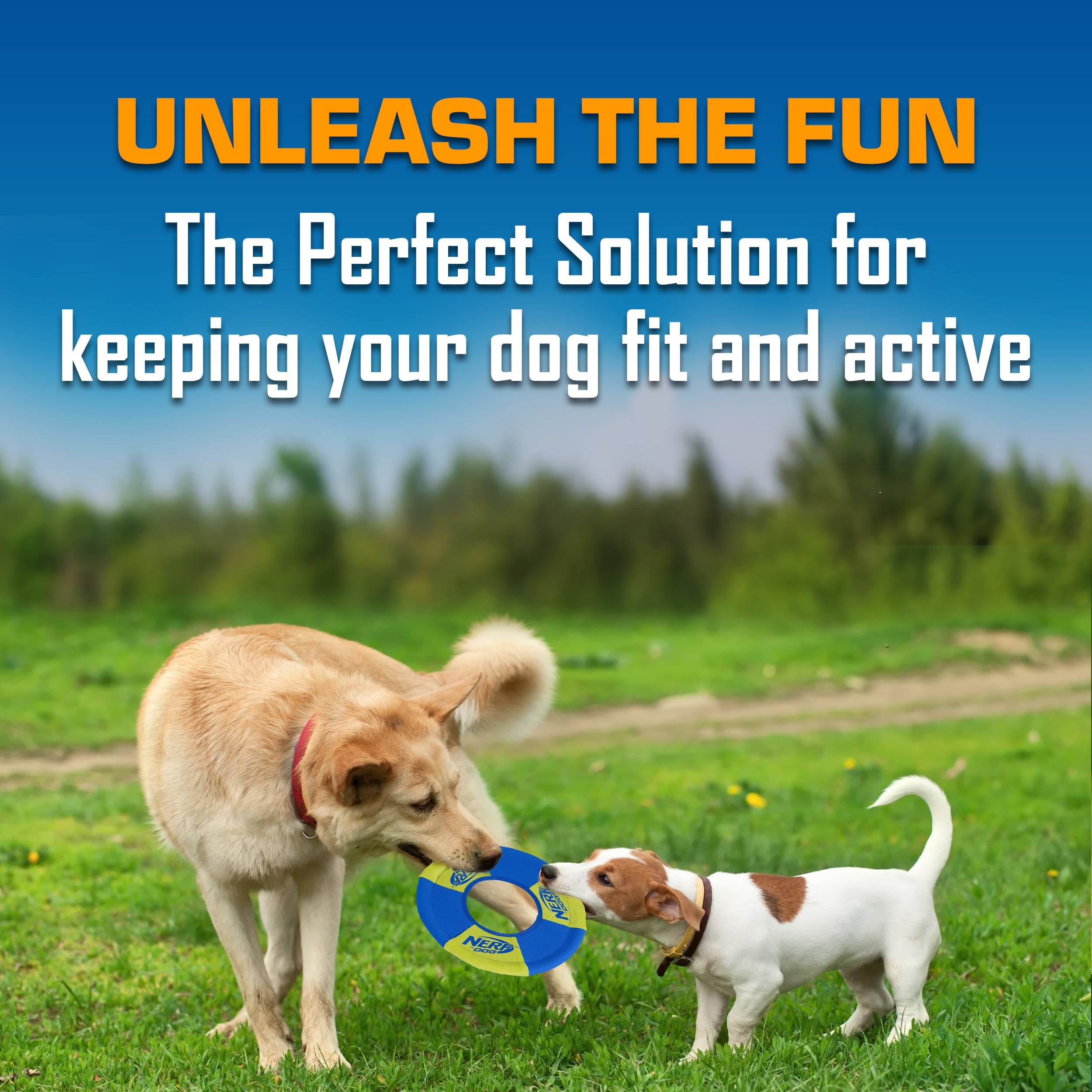 Nerf Dog Lot de 2 Jouets pour Chien avec Anneau à Lancer et à Tirer - Disque Volant, léger, Durable et résistant à l'eau - 22,9 cm de diamètre - pour Les Races de Taille Moyenne - Vert et Orange
