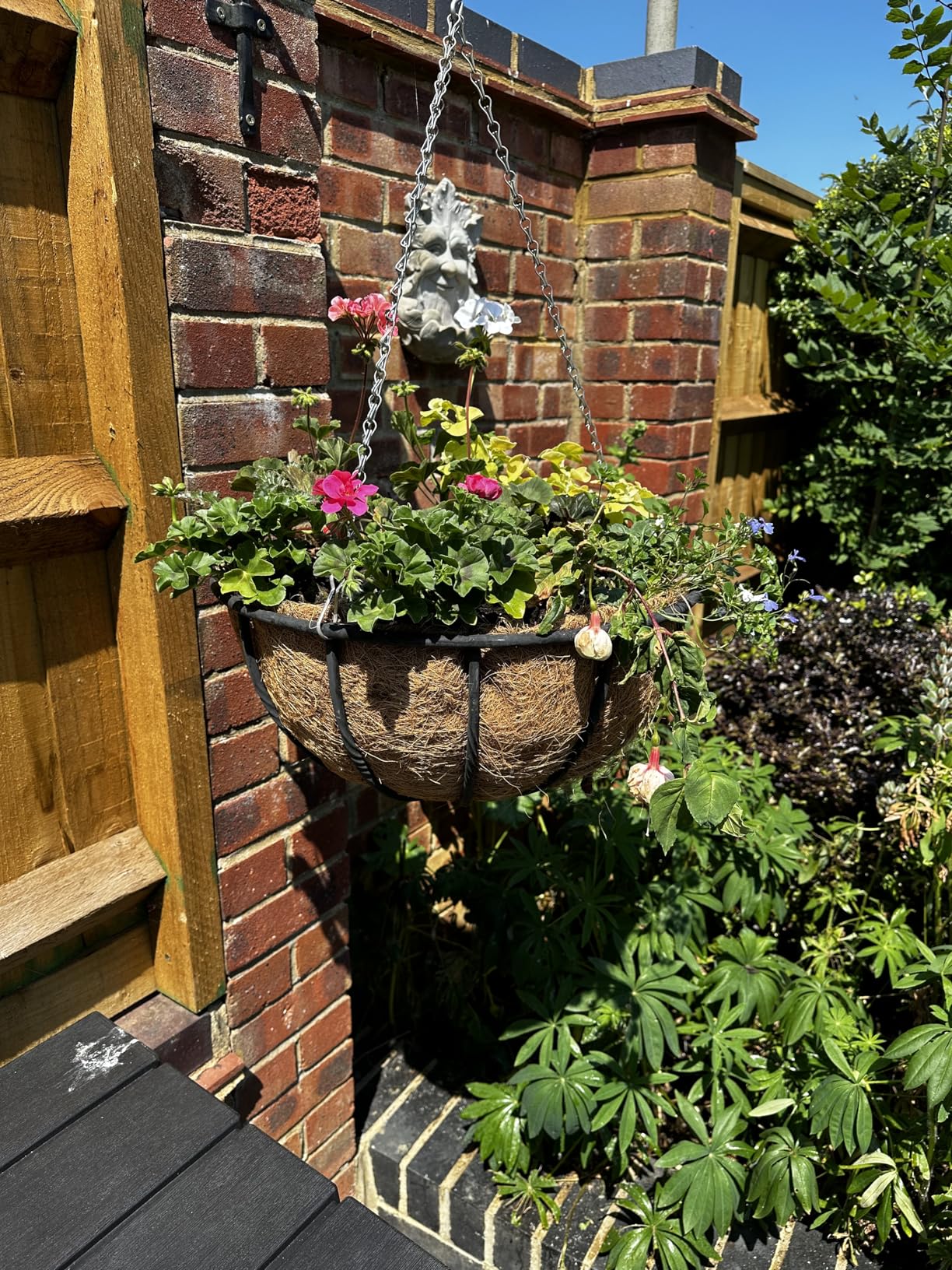 Garden Pride Hanging Basket Liner Coco Liner Pack of 3 Pre