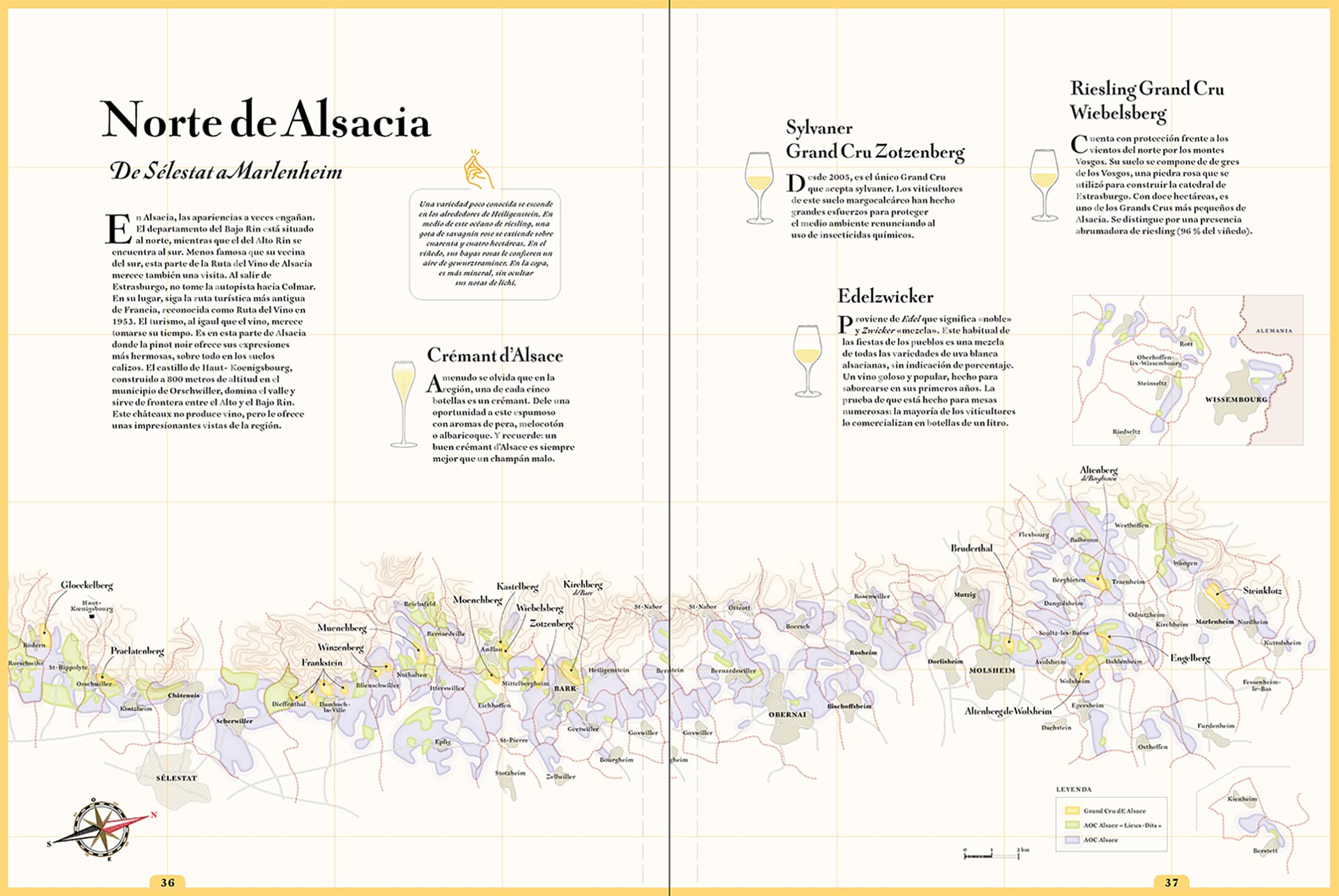 Ruta de los vinos franceses: Atlas de los viñedos de Francia (BEBIDAS)