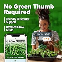 Vista 26 de HOME GROWN Semillas de diente de león para plantar 600 semillas de hierbas medicinales tradicionales (~ 0.01 oz) sin OMG cultivan hojas y flores