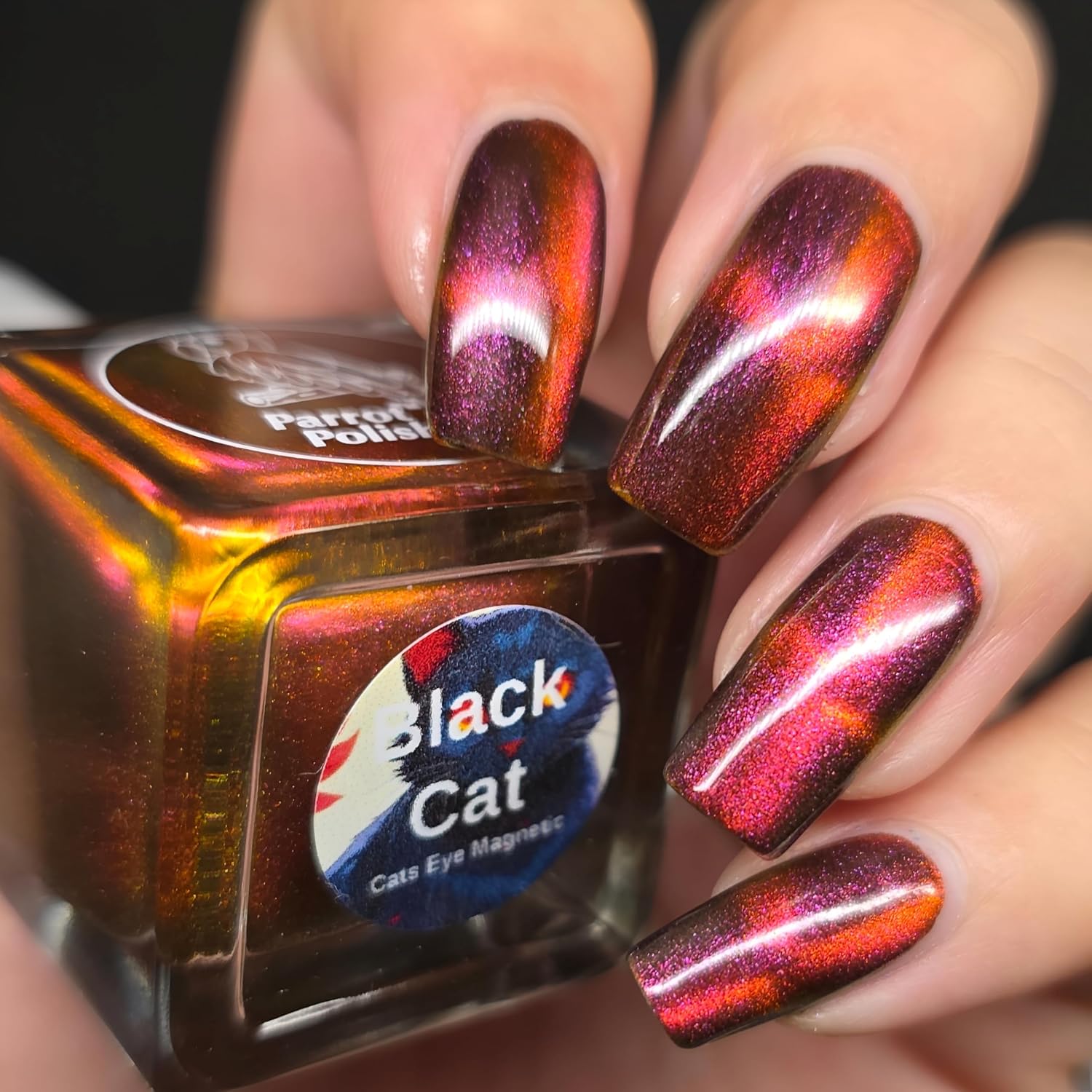 Parrot Polish Magnetic Cat Eye Nail Polish, Quick Dry Red Glitter Nail Lacquer, Long Lasting Reflective Color, Black Cat, 0.5 Fl Oz