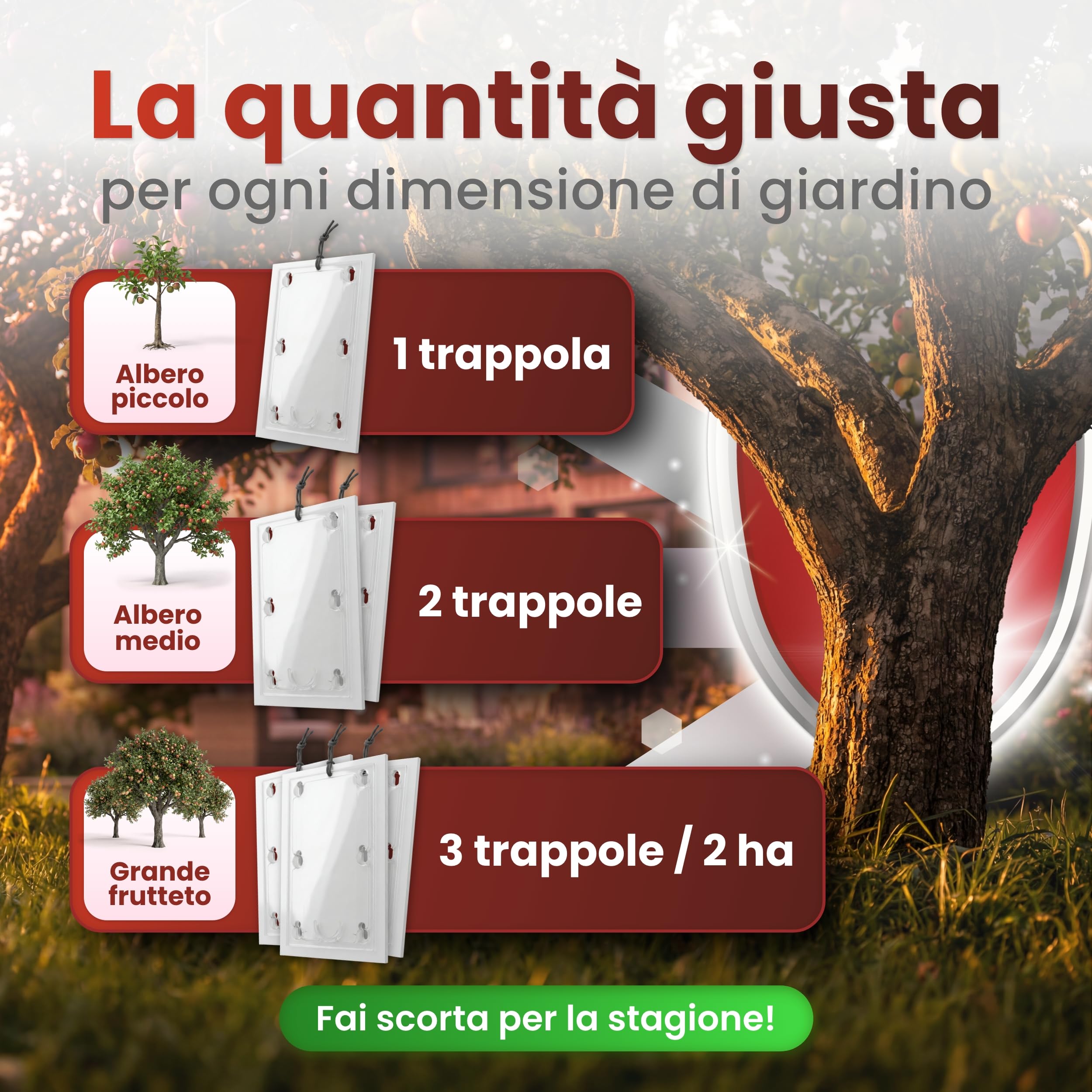 Trappola per feromoni per mele, set di 2 trappole per alberi da frutto, efficace trappola per avvolgere le prugne, protezione antitarme senza tossine per il melo, include attrattiva