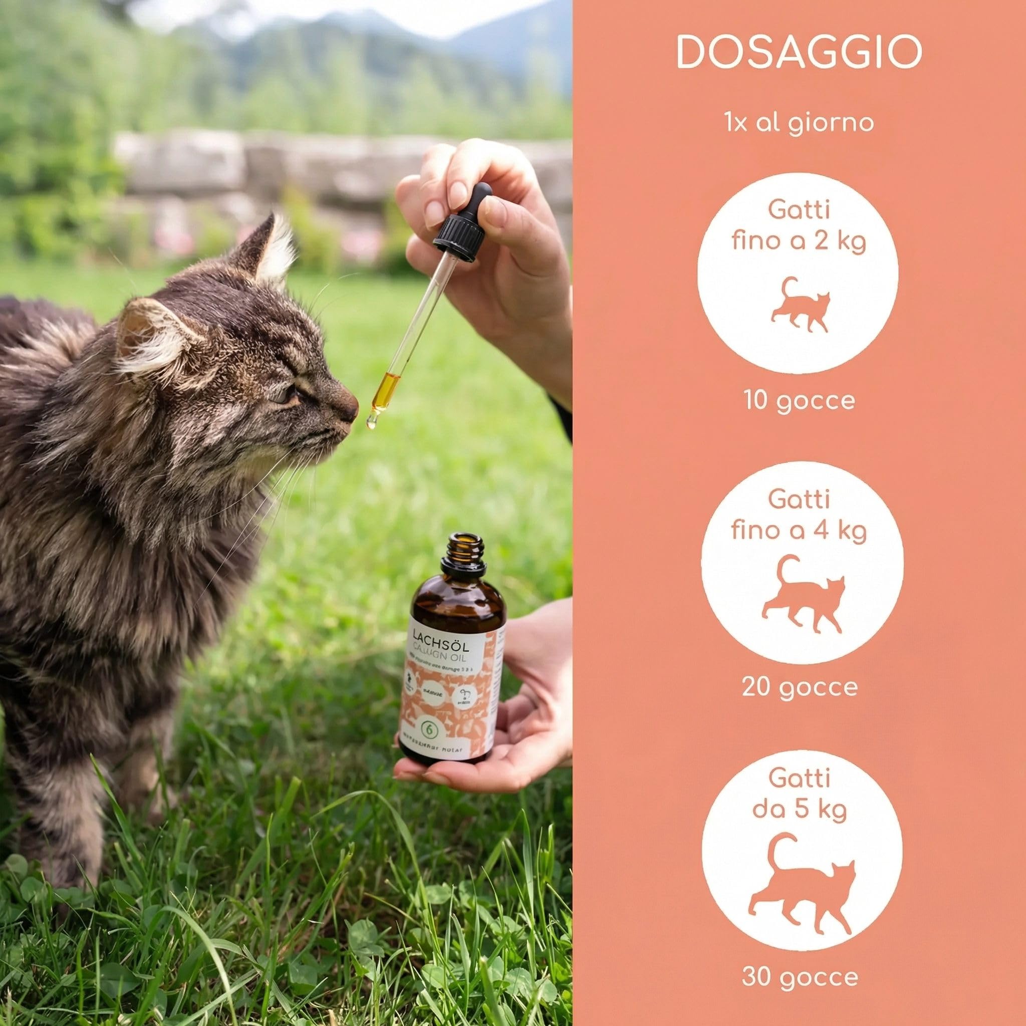 Olio di Salmone per Gatti con Omega 3 & 6 | 100ml Olio di Salmone Norvegese Naturale dall'Atlantico | Integratore Altamente Dosato per Gatti