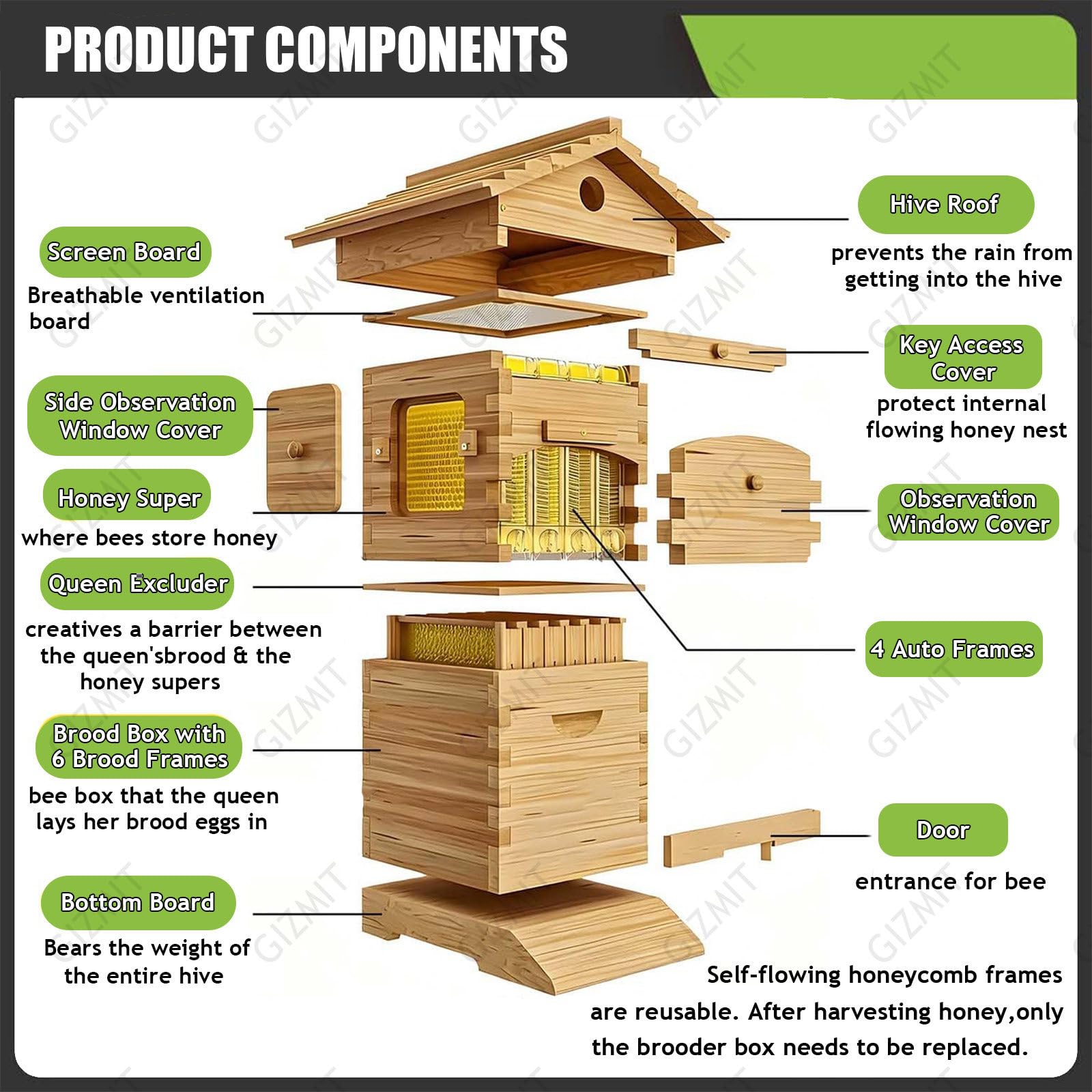 Kit Completo per Arnie, Kit di avviamento per Arnie, arnia a Flusso Automatico con 4 telaini, arnia in Legno a Flusso, Kit Completo per Apicoltura, Colore Legno Naturale