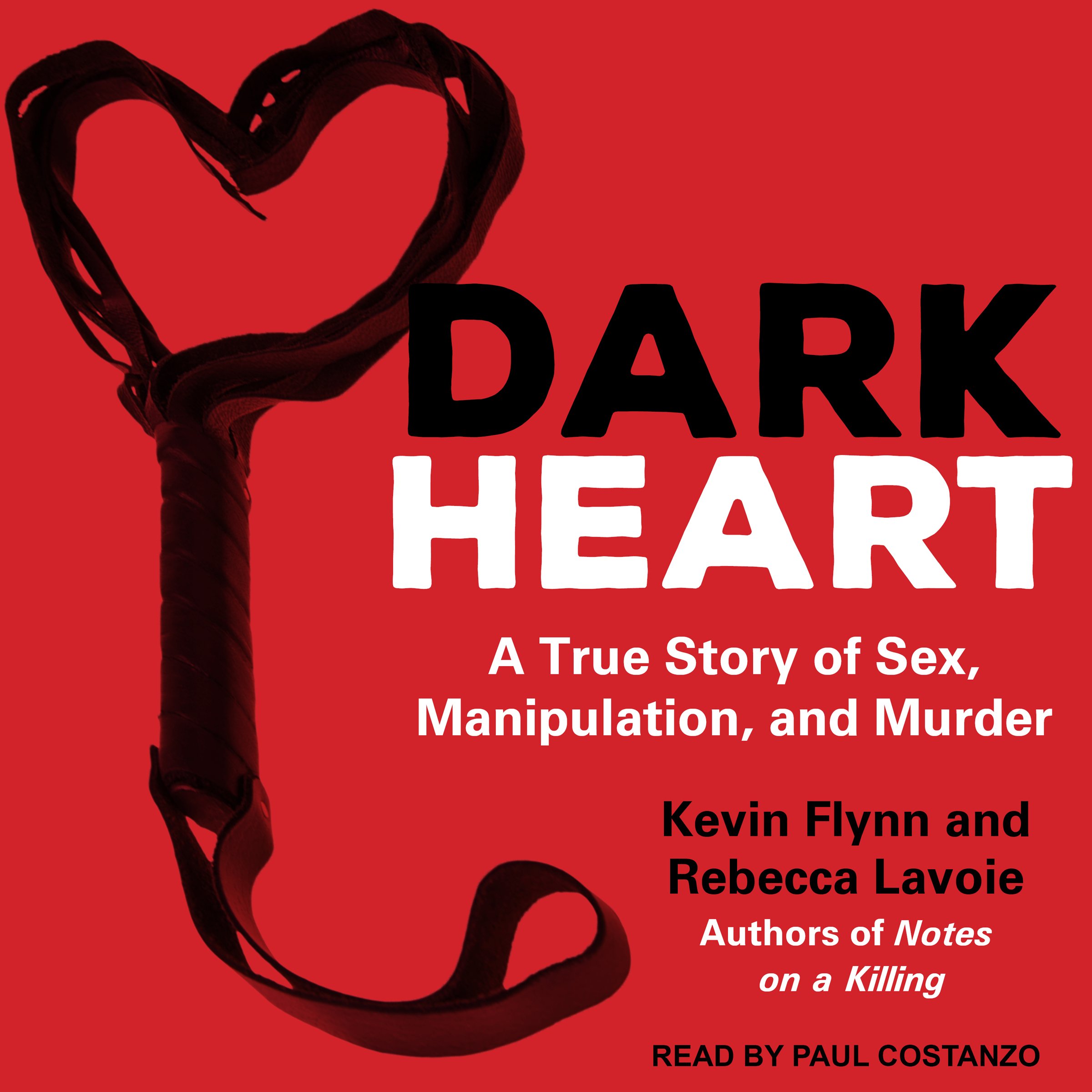 Cover art for Dark Heart