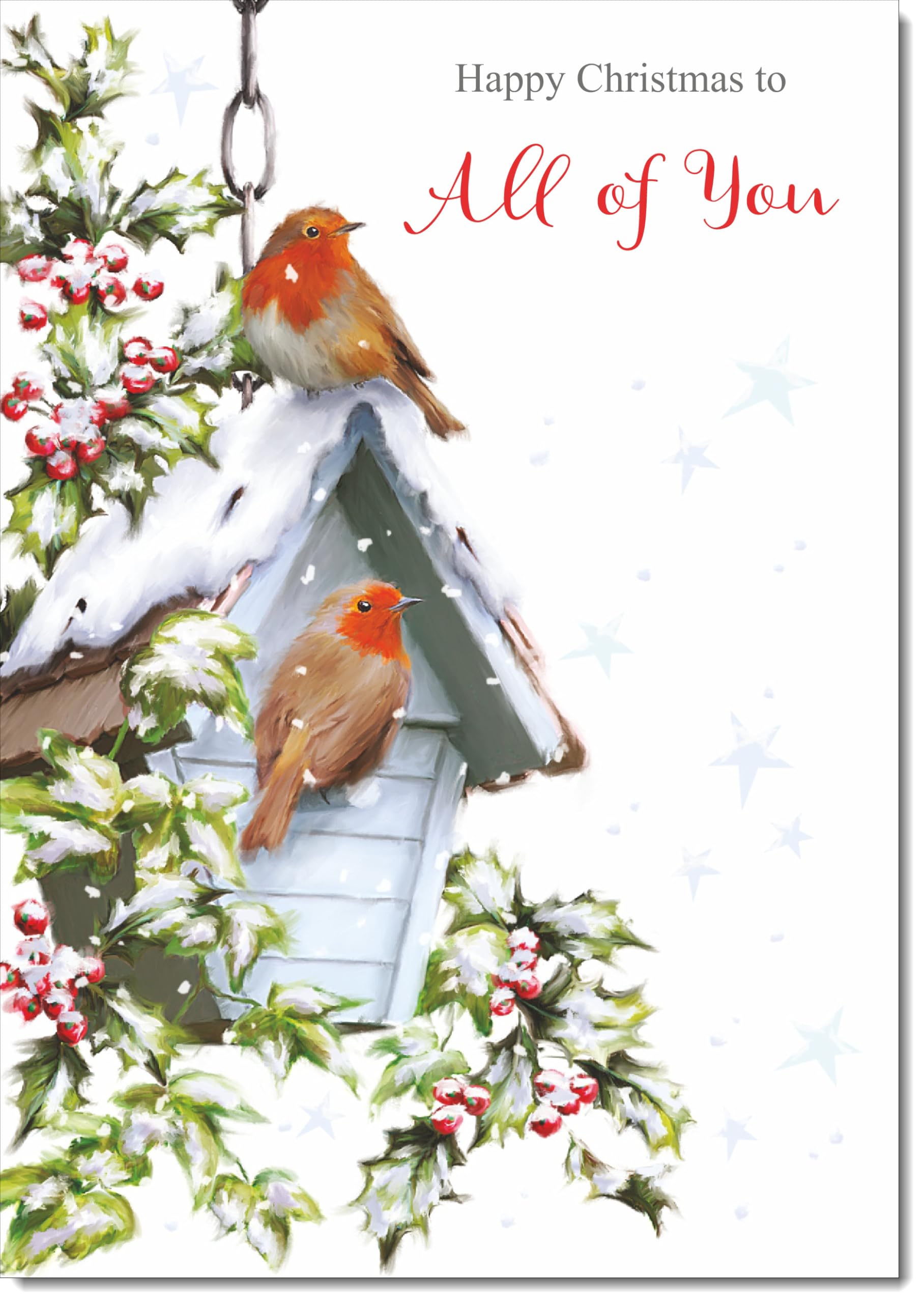 doodlecards To All Of You Christmas Card Two Robins in Snow Large A4 Size Christmas Card for To All Of You with Plain Envelope — image 1