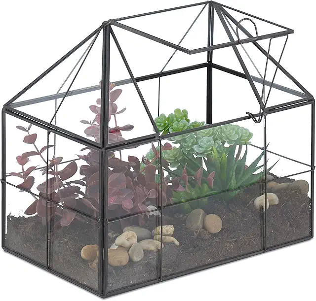 Black Glass & Copper Plant Terrarium - Mini Greenhouse for Cactus & Moss