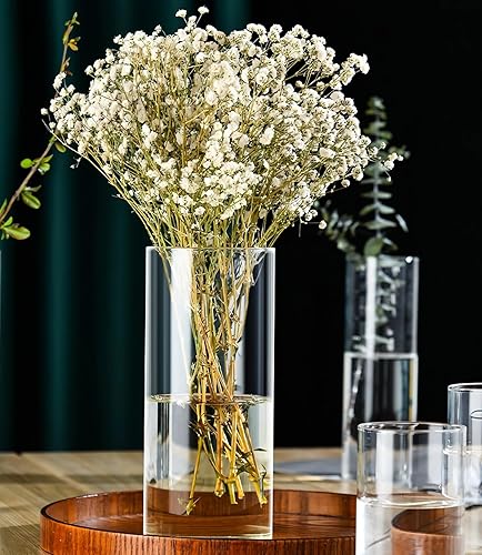 Miniatura 3 de Jarrones cilíndricos de cristal  Juego de 4 vasos de agua de lujo de diferentes tamaños, jarrones transparentes a granel para flores hidropónicas,